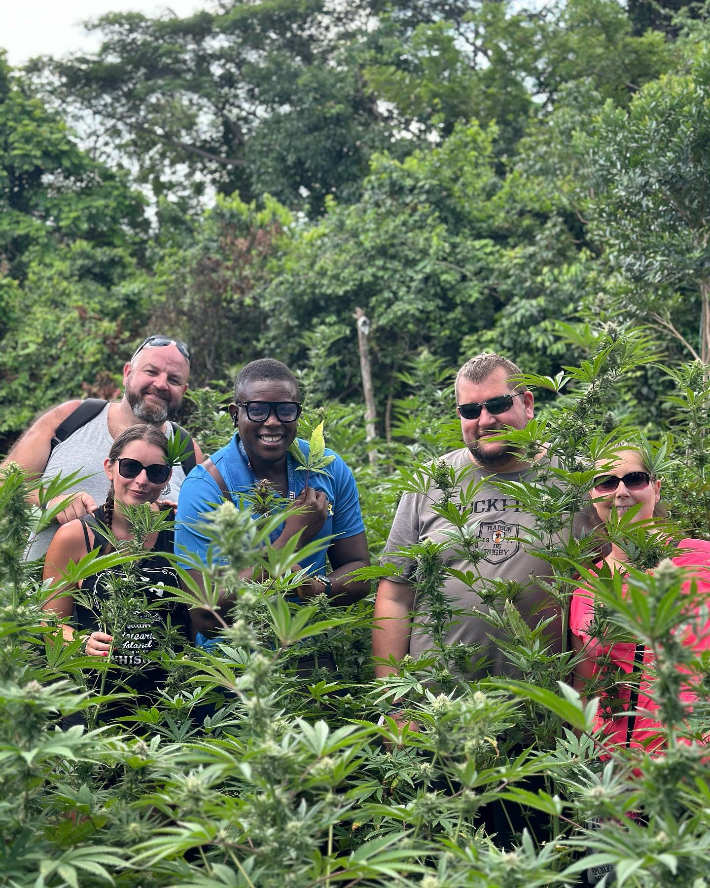 Negril Herb Farm, Mineral Spring, and Rick's Cafe Adventure