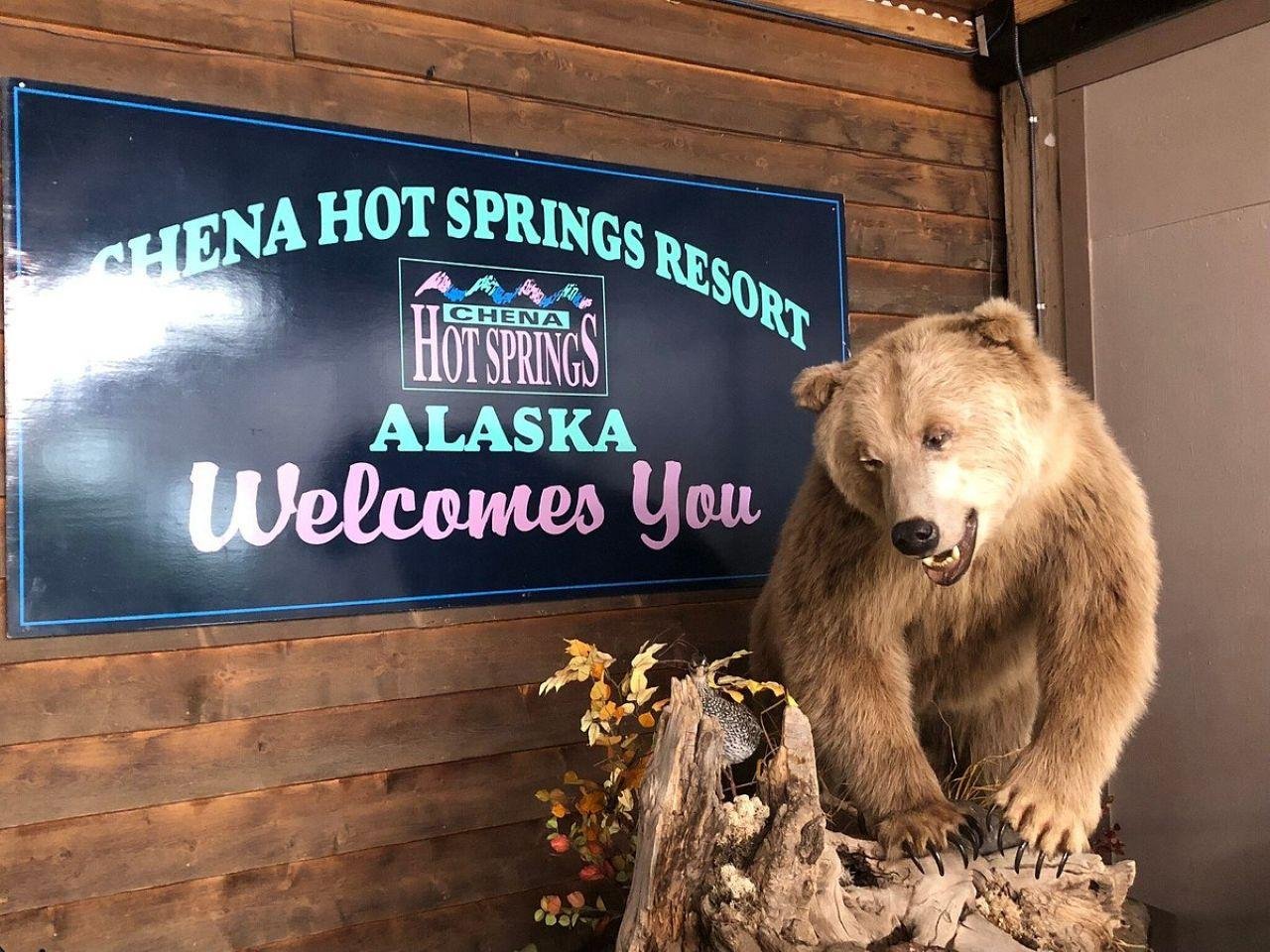 Fairbanks: Northern Lights & Chena Hot Springs Tour