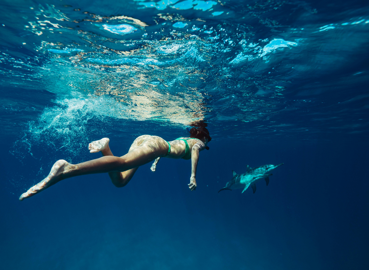 Zanzibar Dolphin Swim & Coral Reef Snorkel – Wildlife-First Half-Day Tour