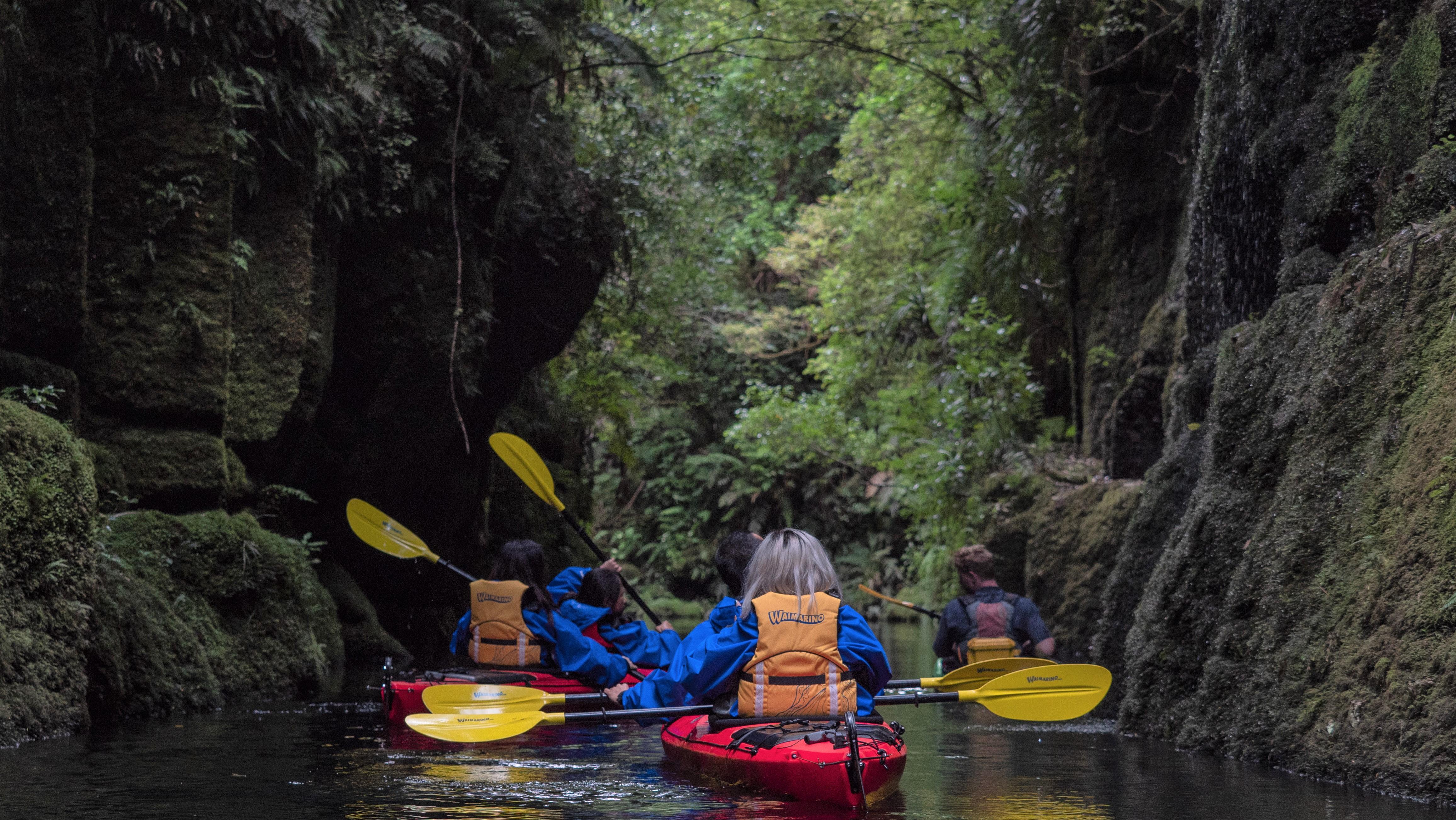 Lake McLaren Kayak Tour