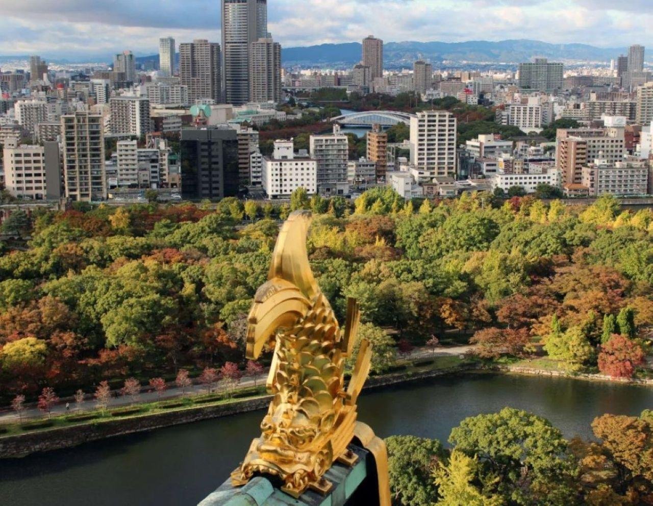 Osaka experience, image 9