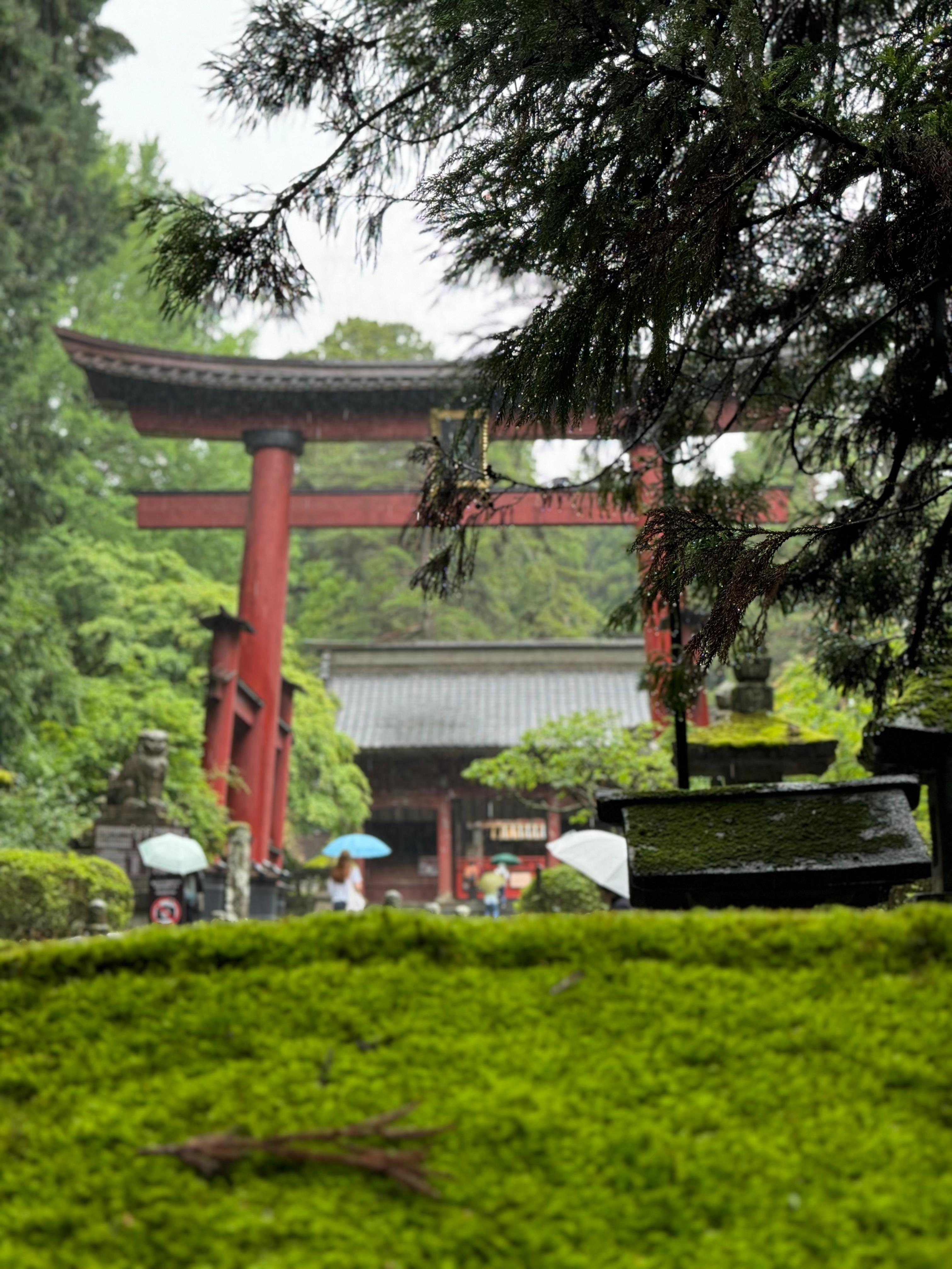 Tokyo to Mt. Fuji & Hakone: Private Full-Day Tour with English Driver