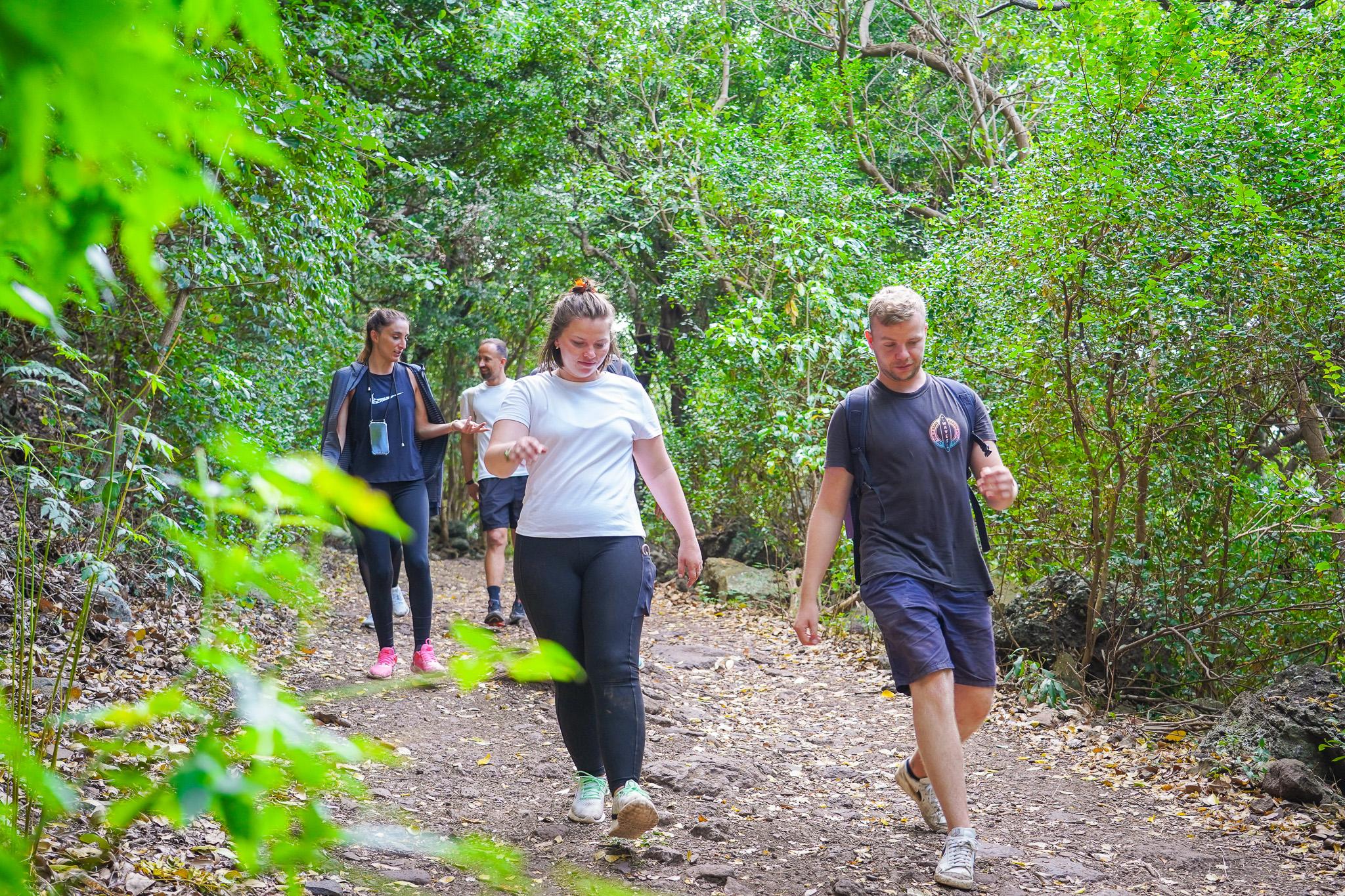 Le Morne Brabant Sunrise Summit Hike
