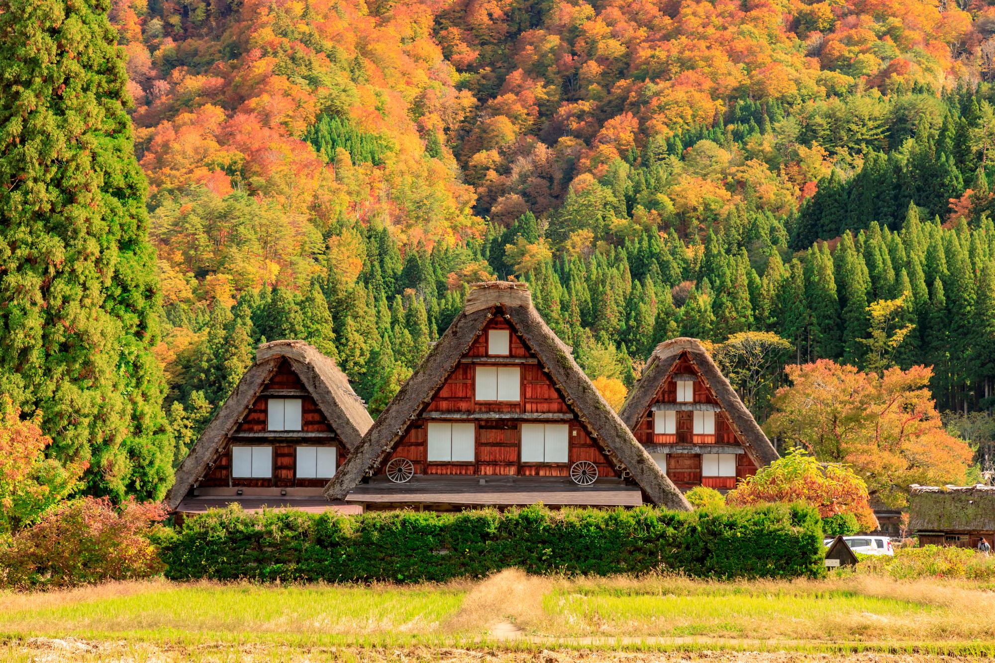 Shirakawa-go, Takayama & Gujo Heritage Day Trip from Nagoya