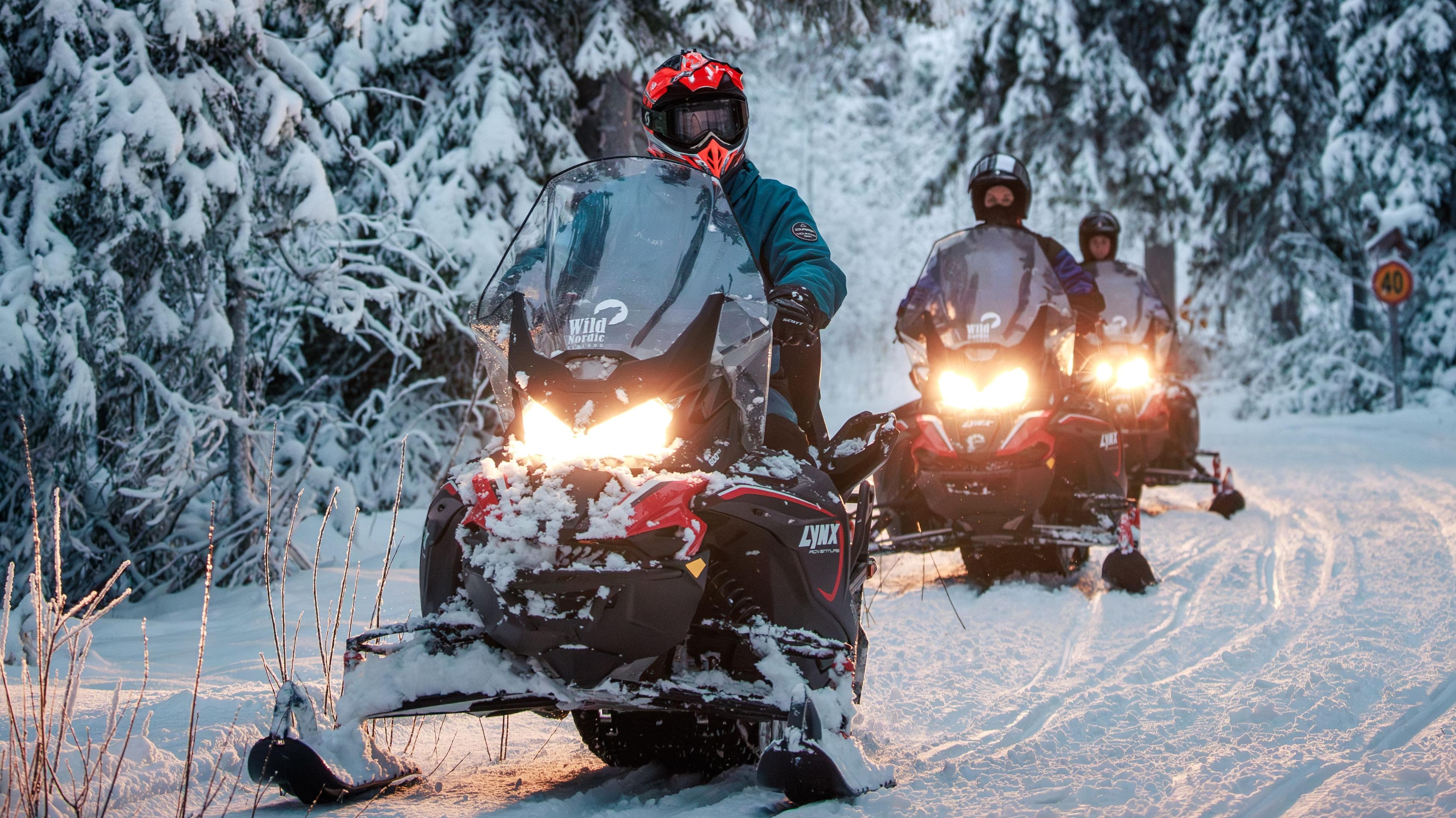 Rovaniemi Arctic Forest Snowmobile Safari
