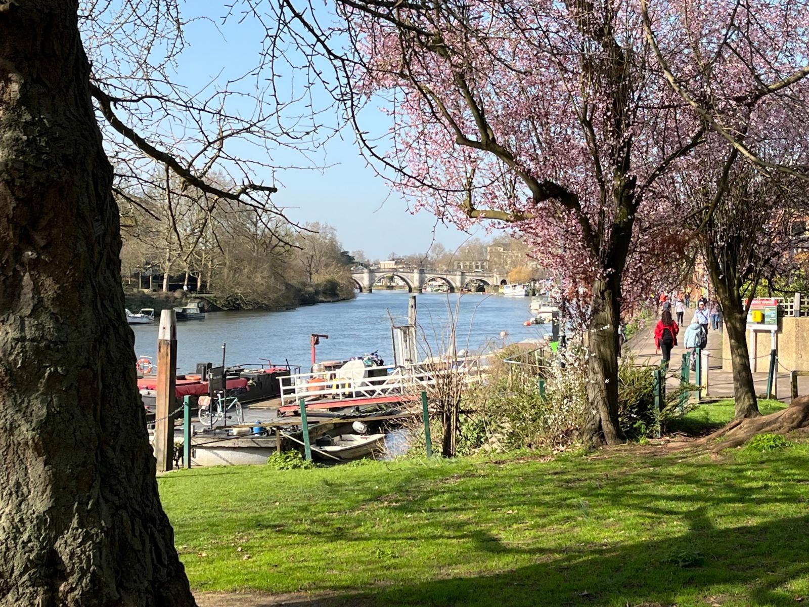 Historic Richmond & Nature Walking Expedition