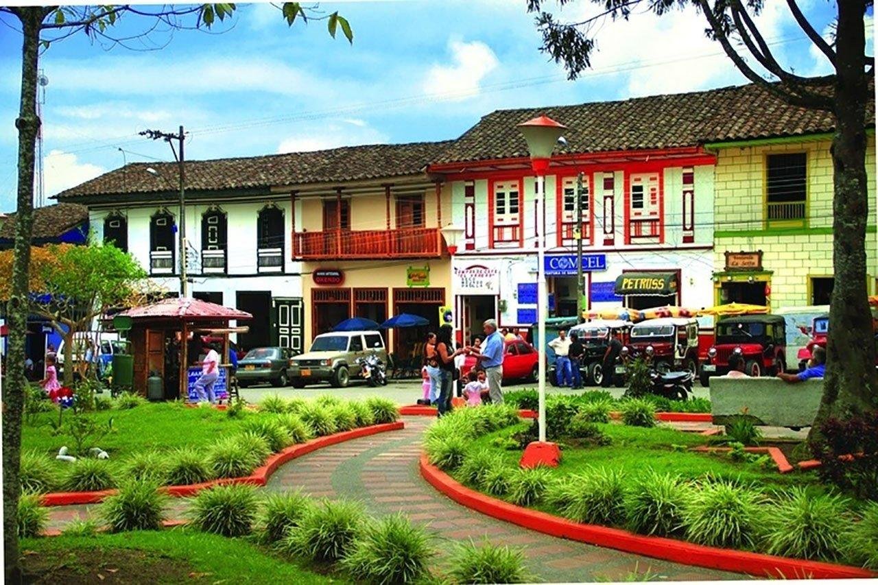 Cocora Valley & Coffee Farm Experience from Pereira