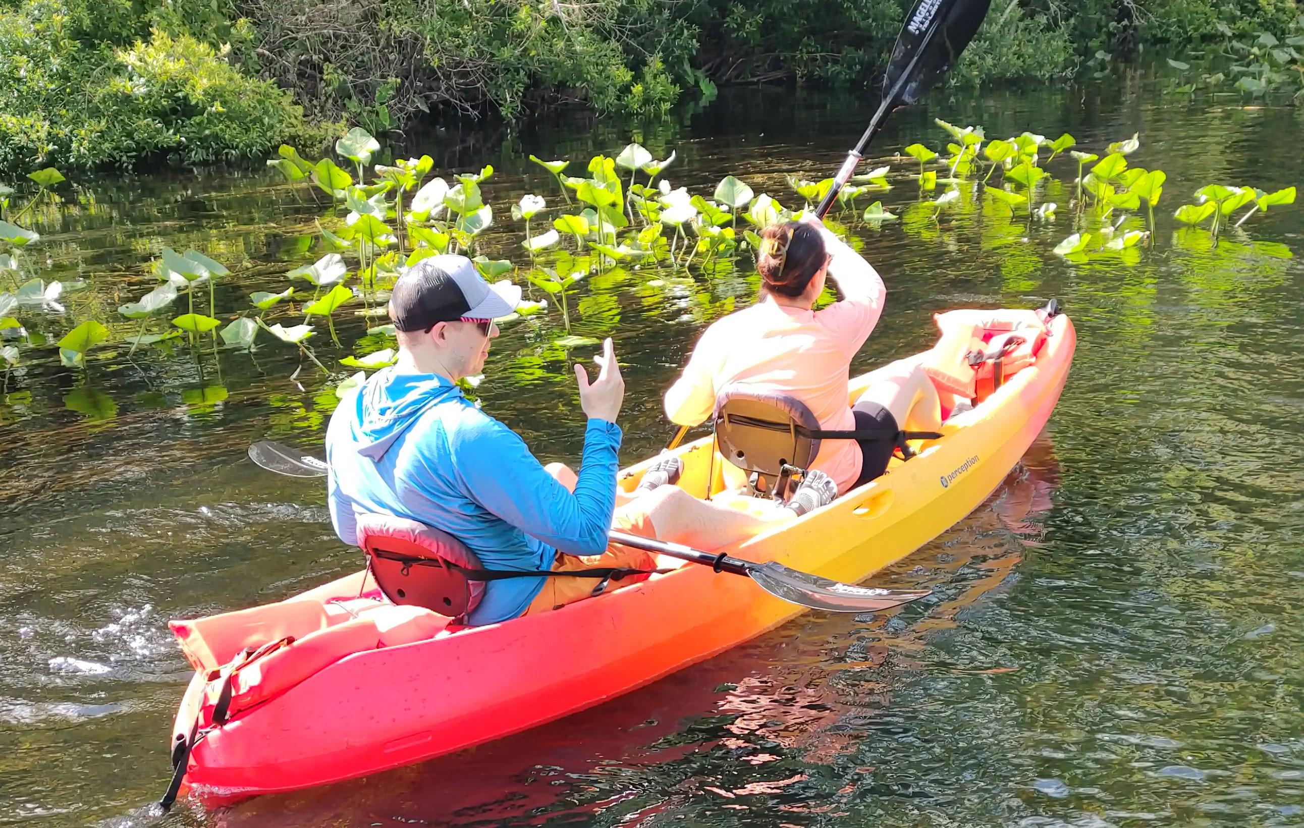 Blue Springs Manatee Kayak Adventure