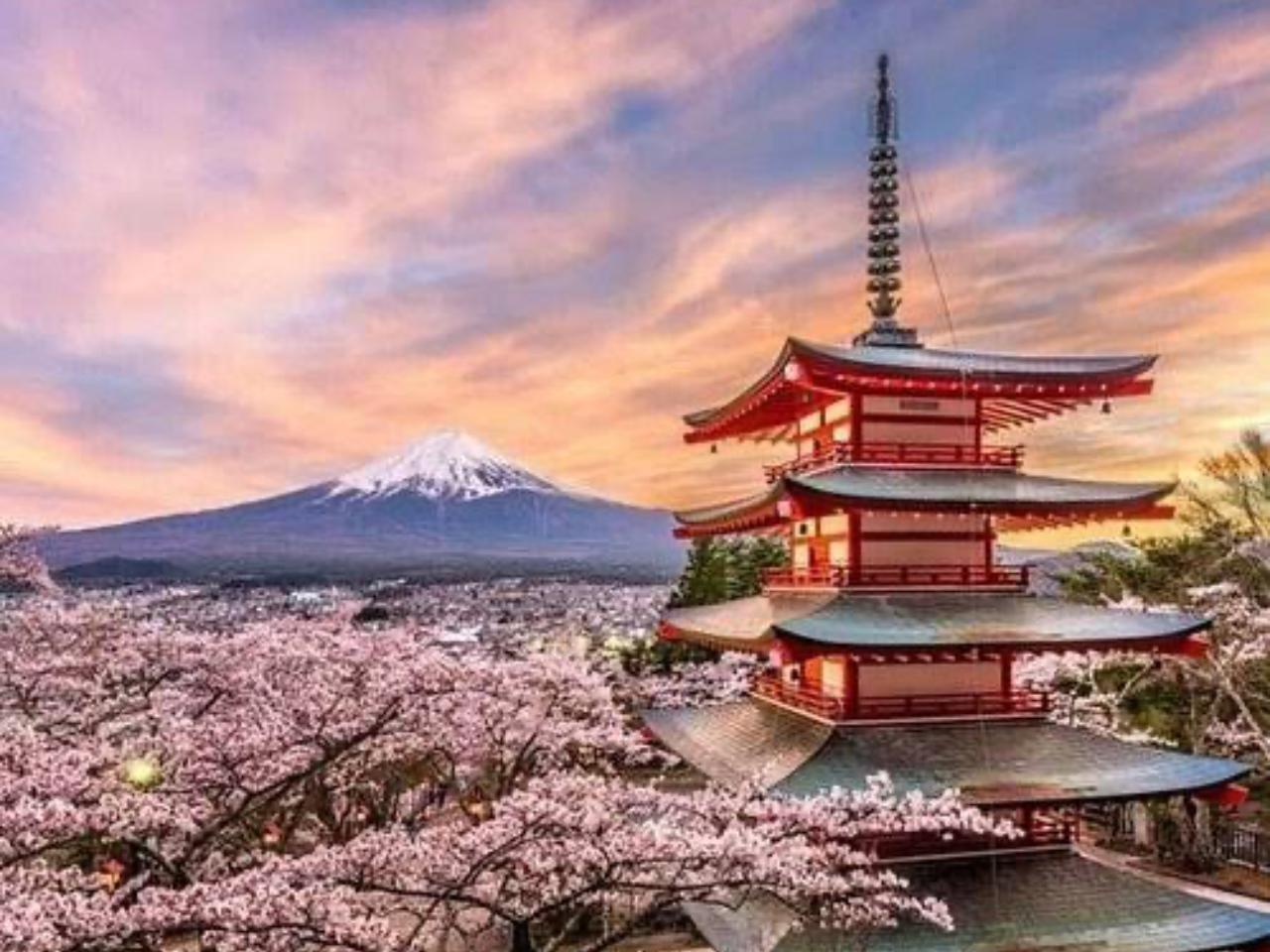 Mount Fuji Private Guided Day Tour from Tokyo