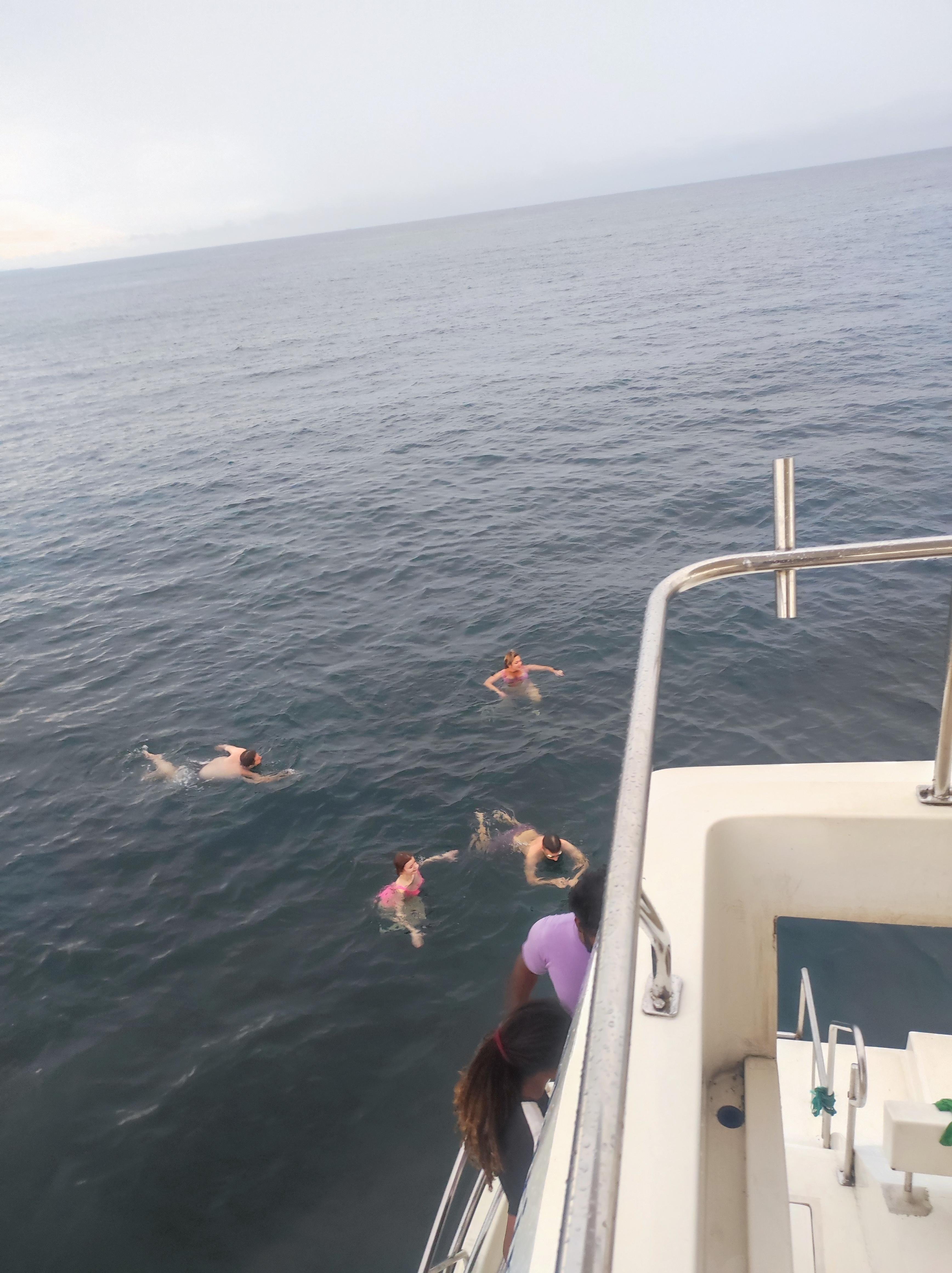 Mirissa Whale & Dolphin Spotting Cruise