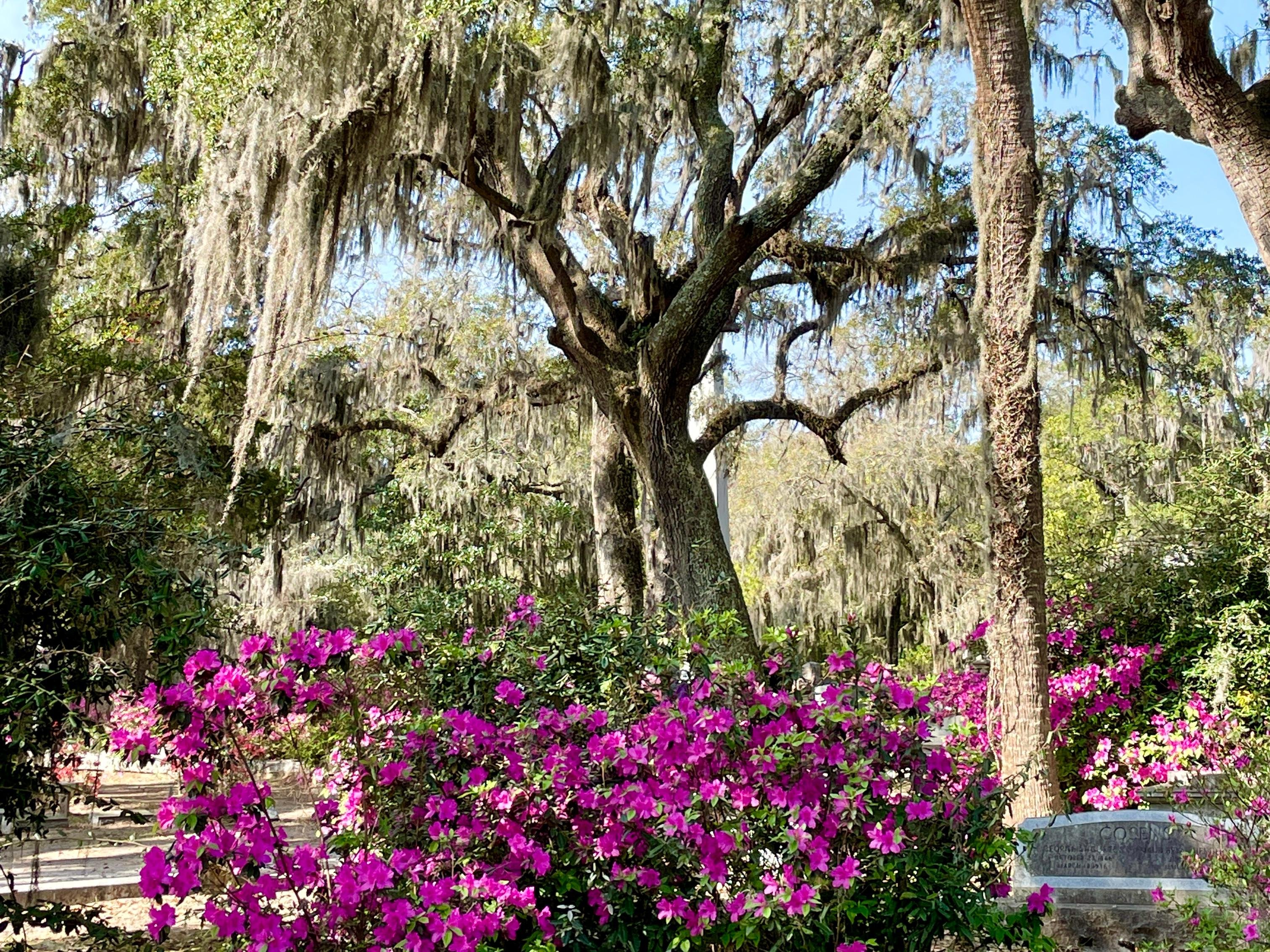 Bonaventure Cemetery Guided Golf Cart Tour