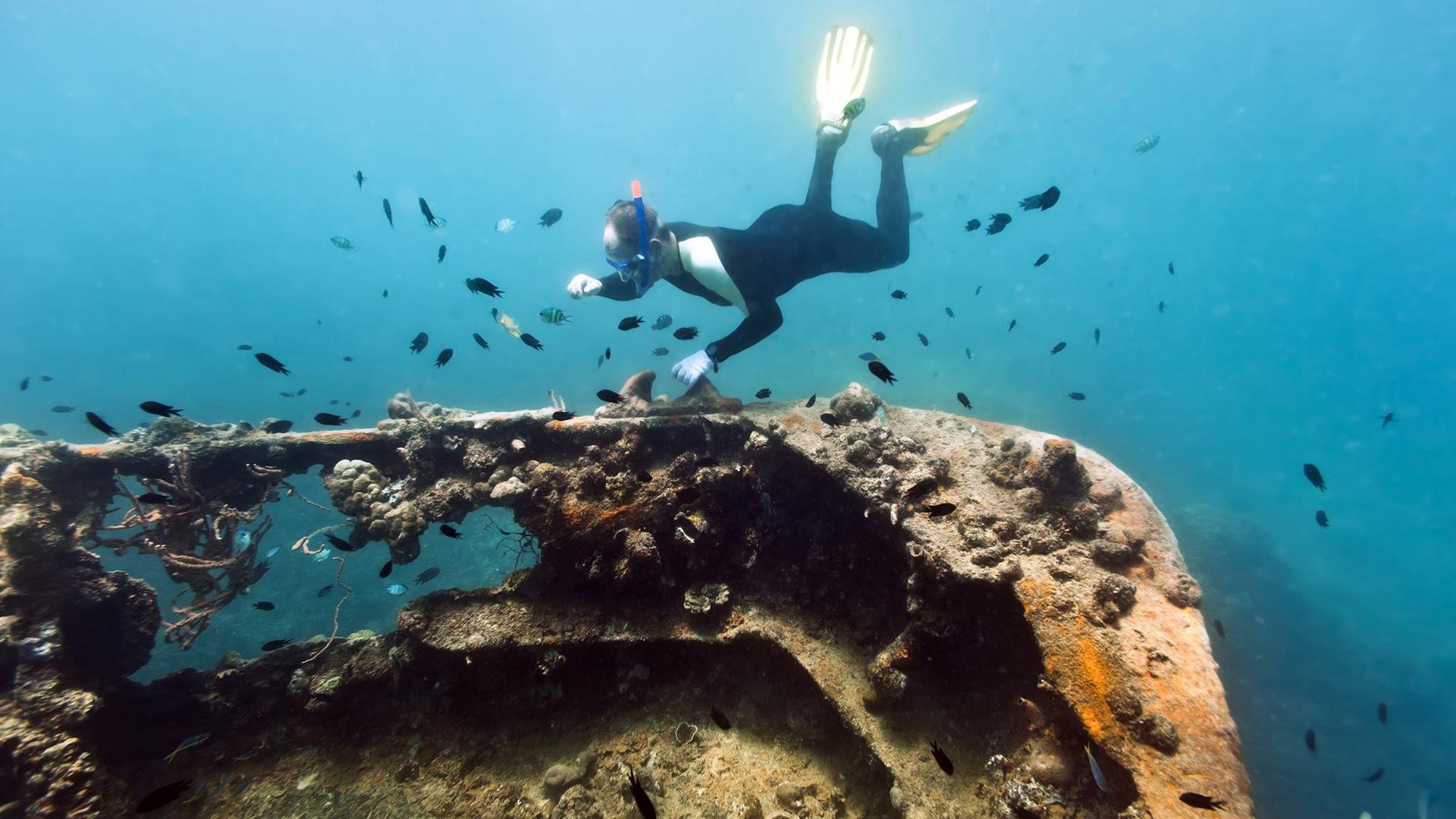 Coron Reef and Wrecks Private Tour