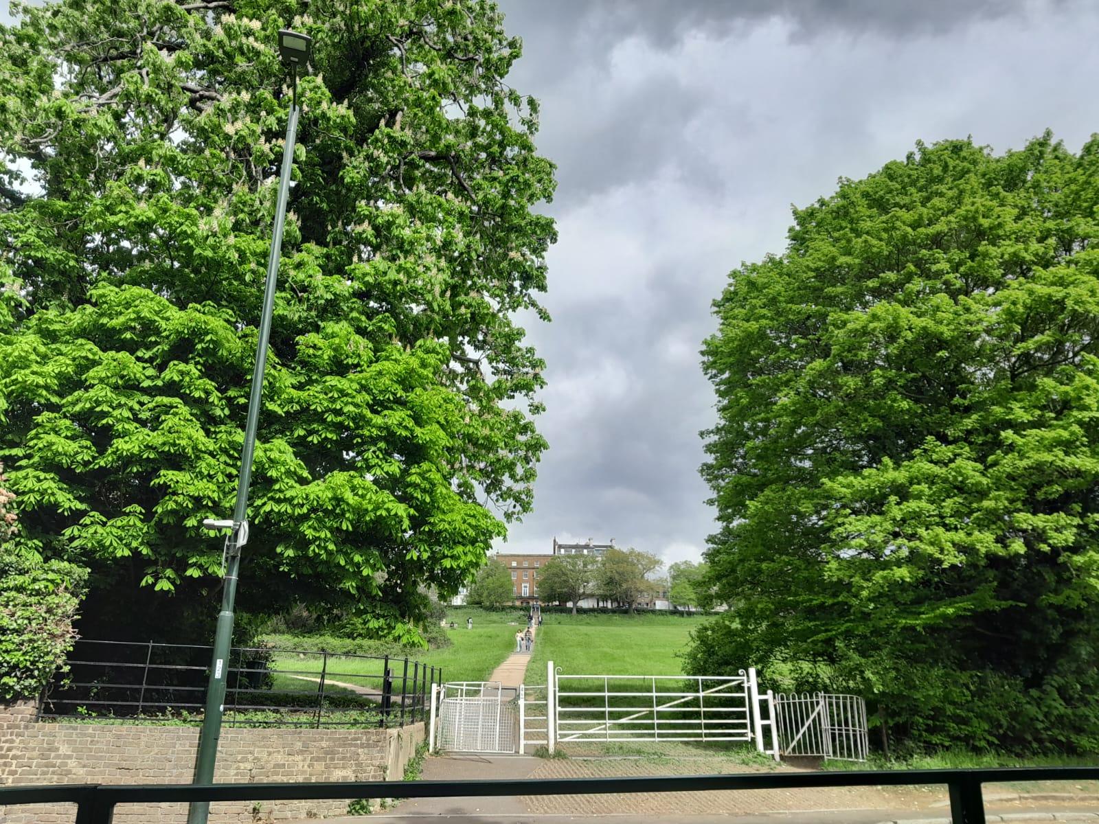Private London: Kew Gardens, Richmond & Ted Lasso Tour