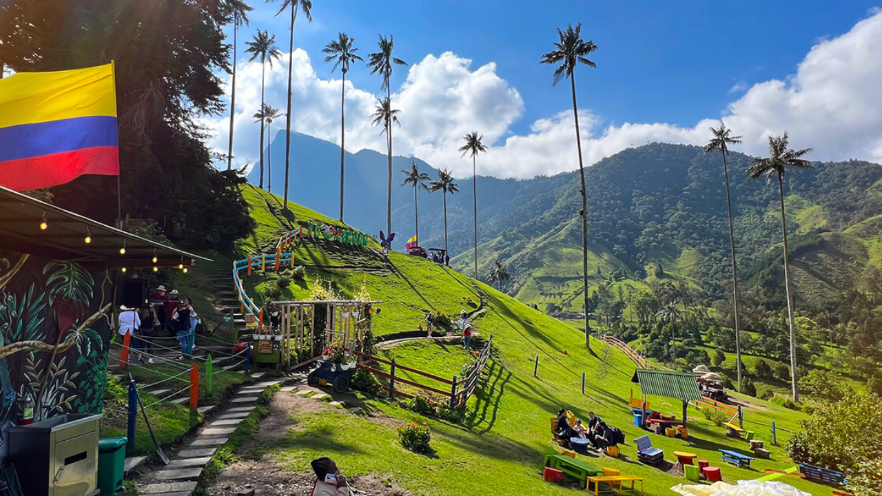 Salento, Cocora Valley & Filandia Full-Day Tour from Pereira or Armenia