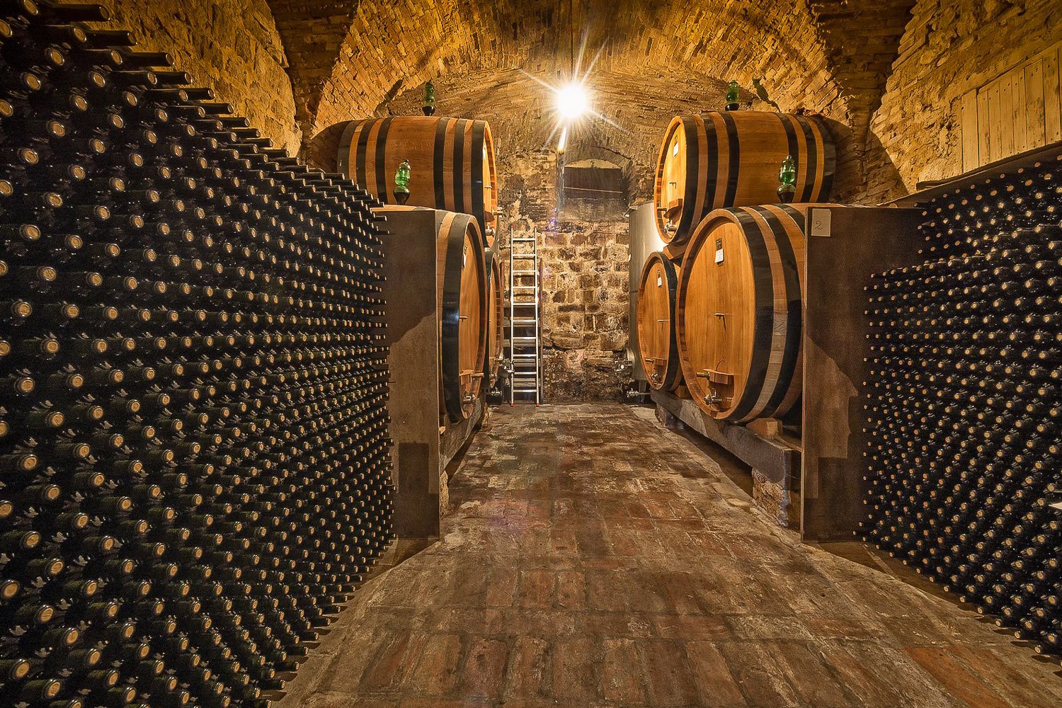 Small group Champagne tour — Paris minivan, grande Maison cellars, grower vigneron, 6 tasting glasses — image 7