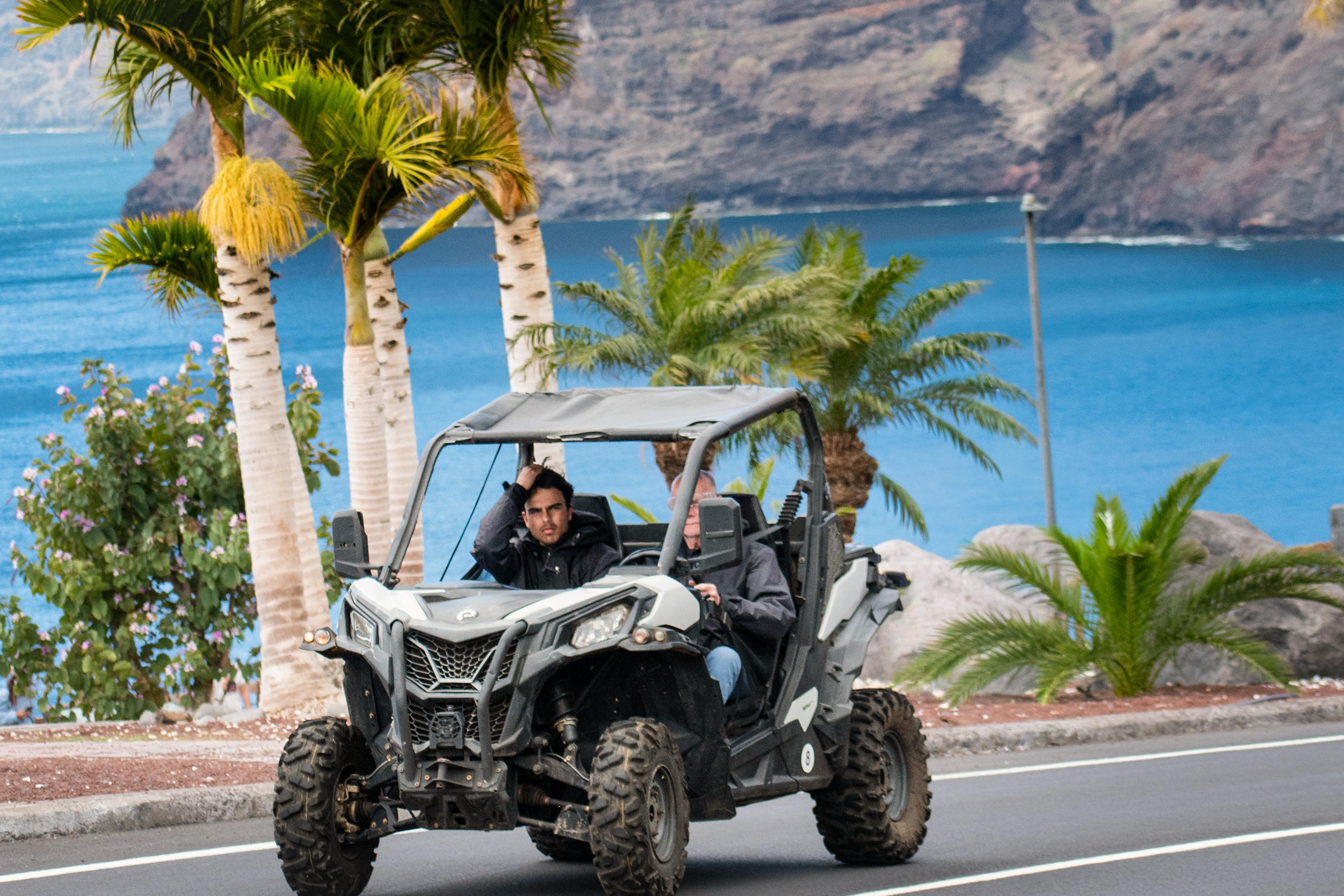 Tenerife Buggy Adventure: Los Gigantes Cliffs & Teide National Park