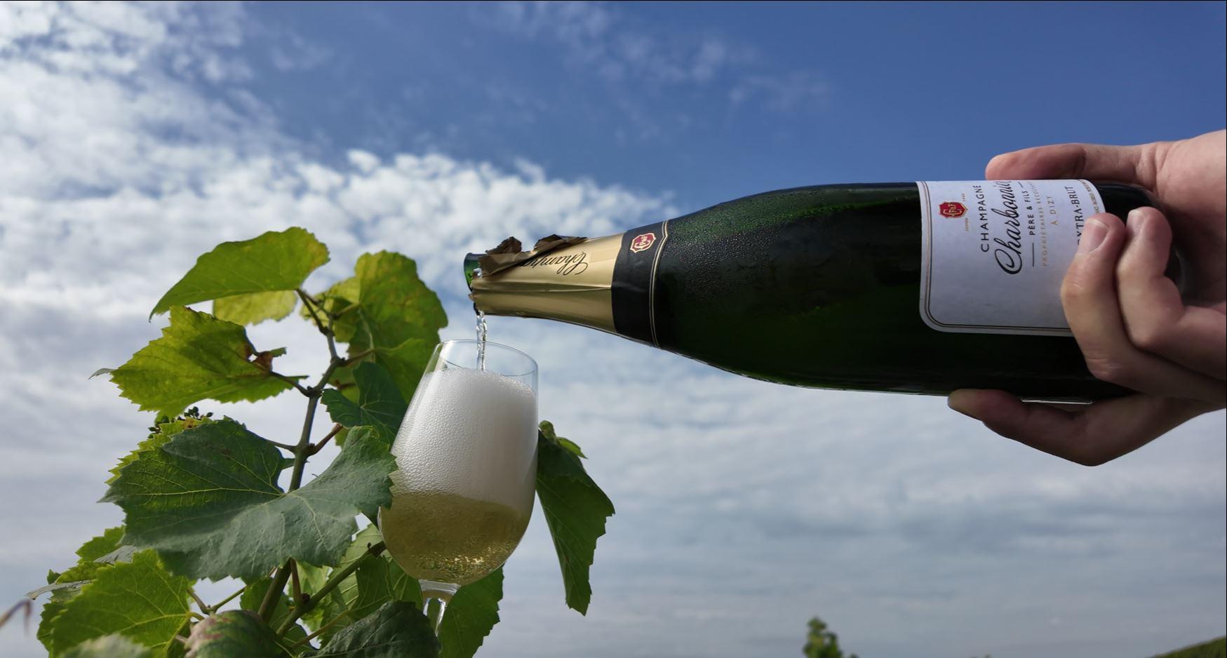 Pommery Champagne tour — Reims château, UNESCO crayères, contemporary art cellars — image 20