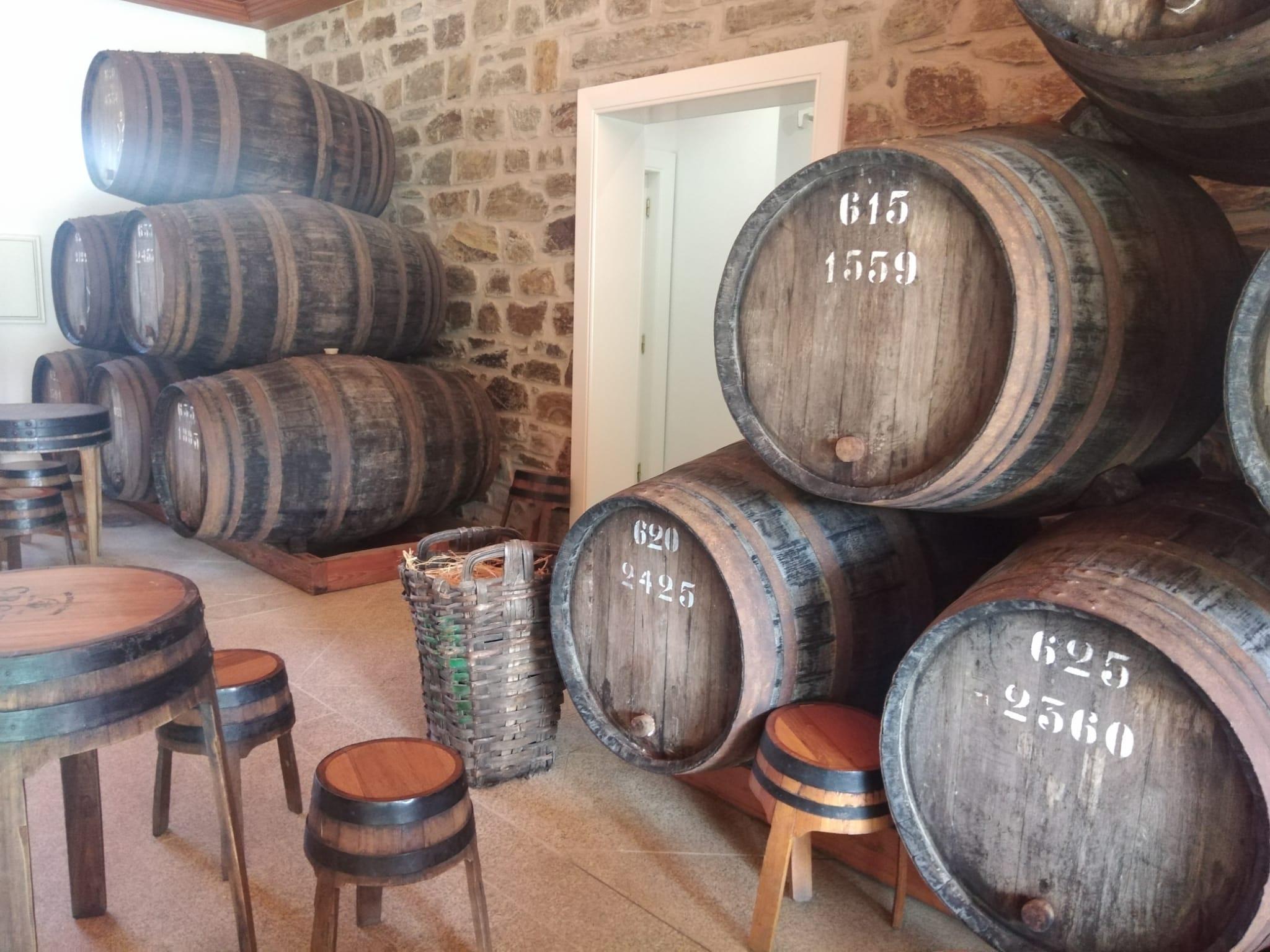 Douro Valley River Cruise & Wine Tasting from Pinhão