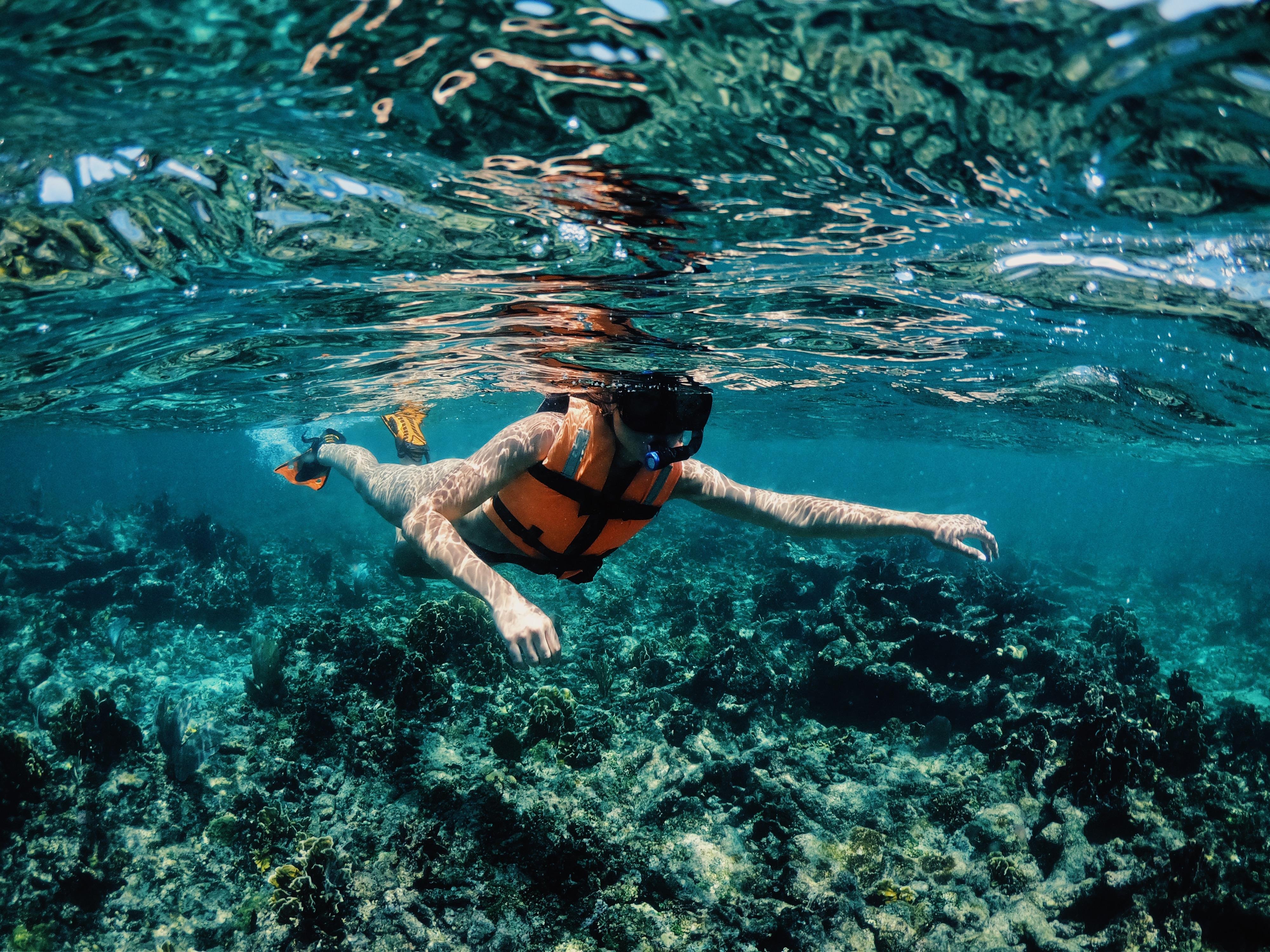 Tulum Sailing & Reef Snorkel Adventure