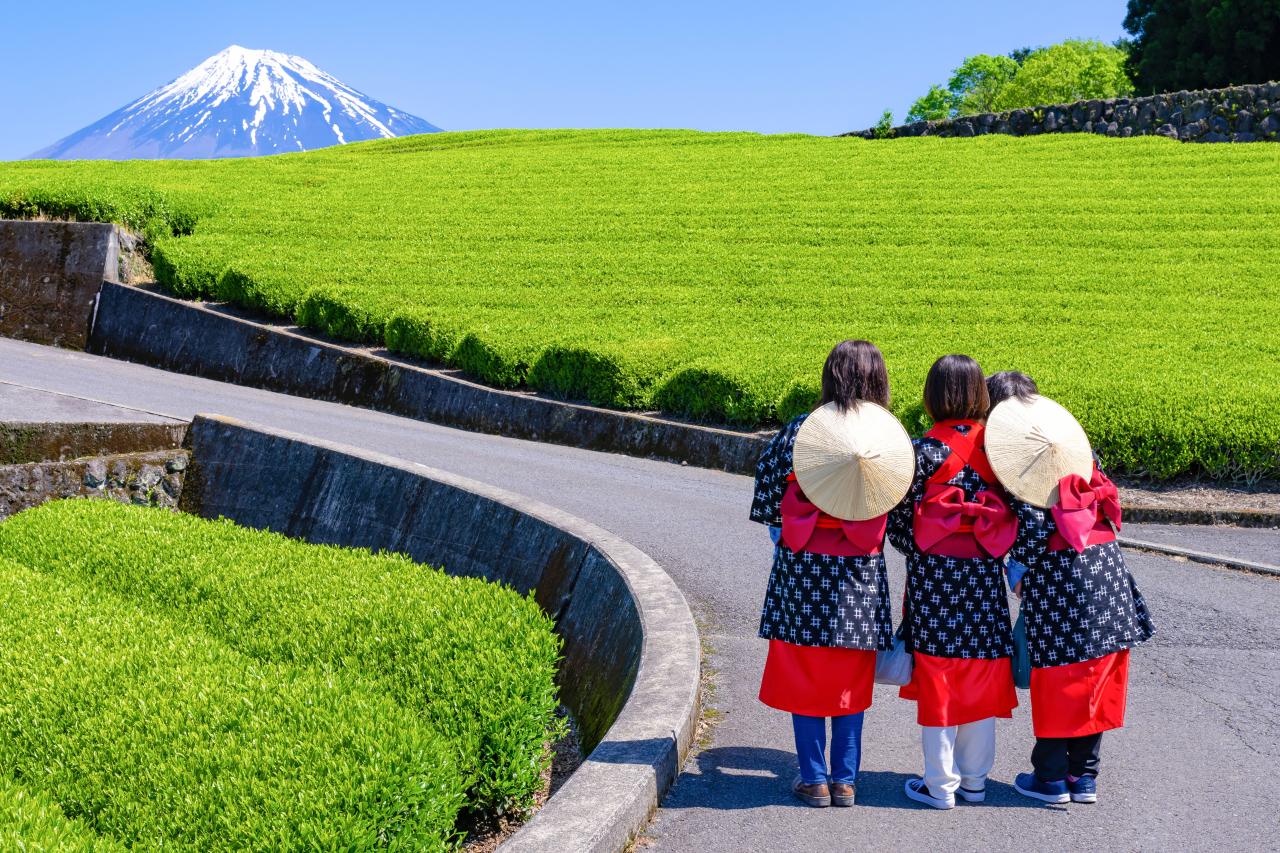 Mount Fuji Full-Day Tour from Tokyo: Two Routes, One Iconic Mountain