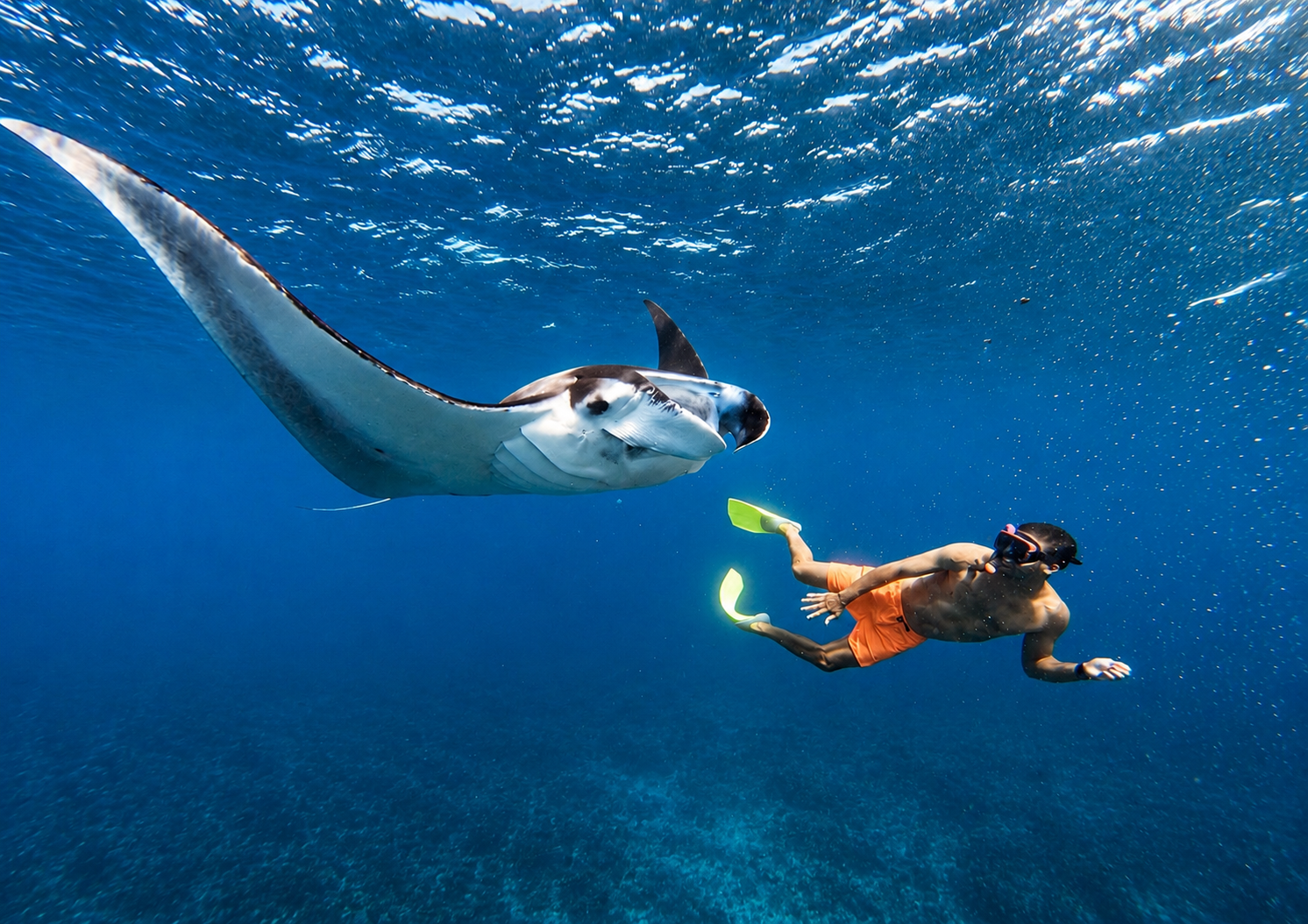 Nusa Penida Private Snorkeling & West Coast Tour