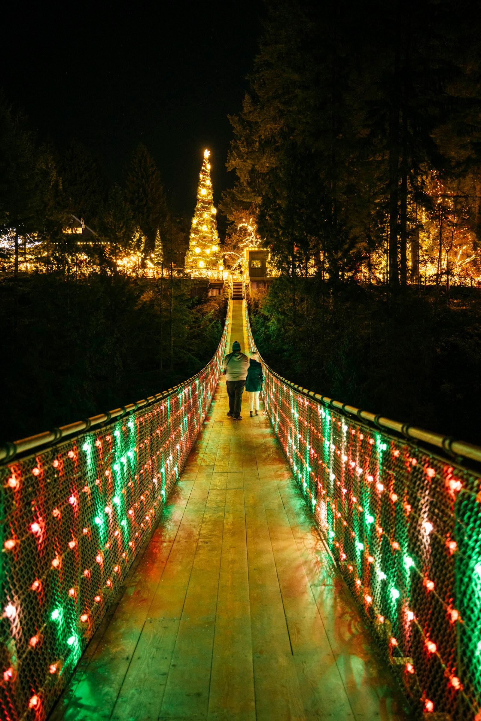 Capilano Suspension Bridge Park Entry