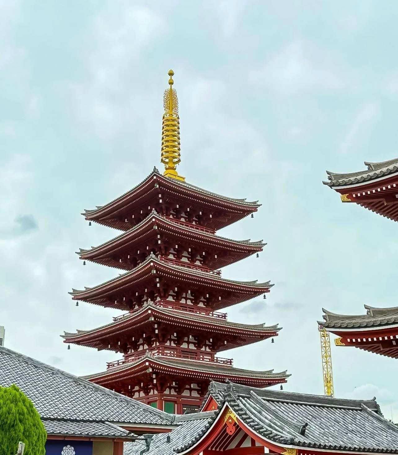 Tokyo Private Full-Day City Tour — Custom Itinerary with English Guide