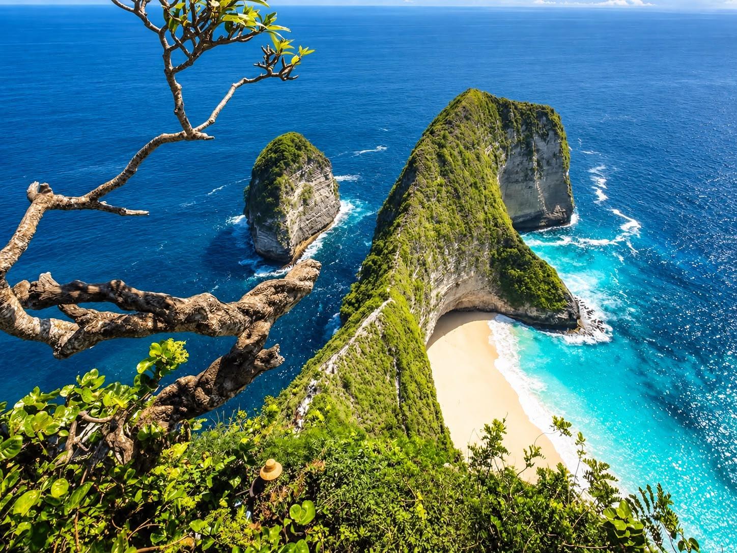 Nusa Penida Snorkeling & Kelingking Beach Tour