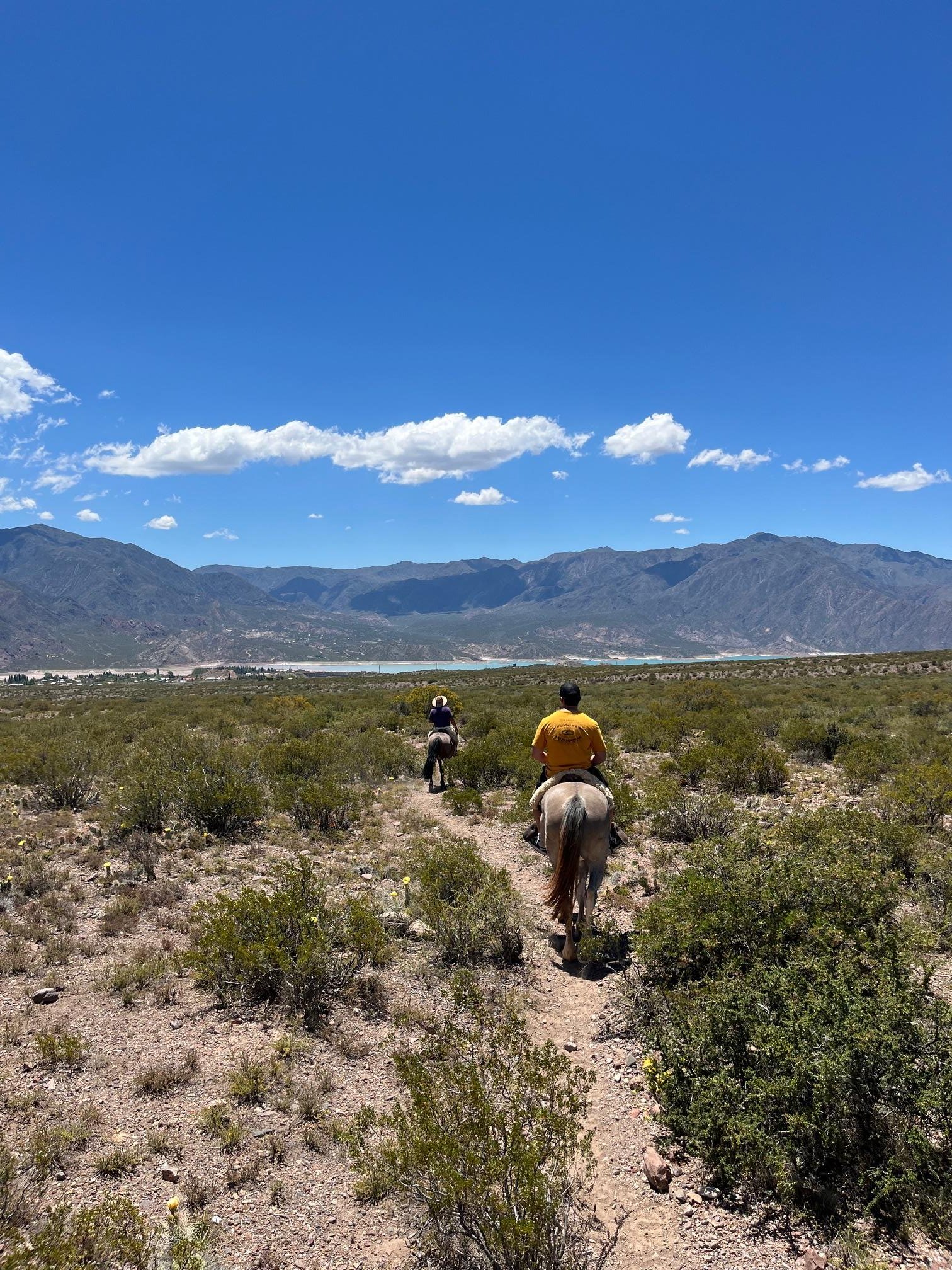 Potrerillos Mountain Horseback Ride at Sunset