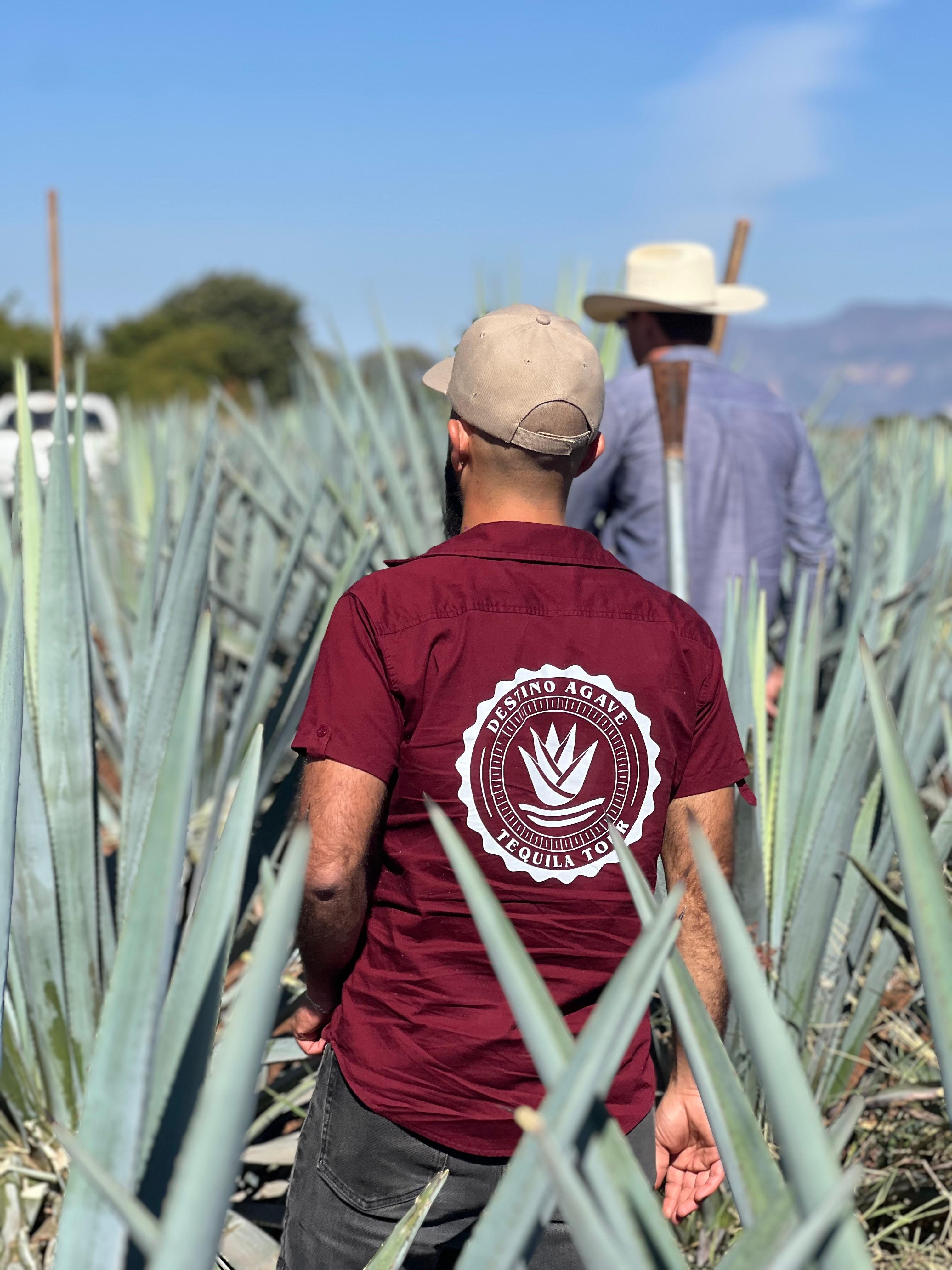 tequila tour in Guadalajara — photo 16