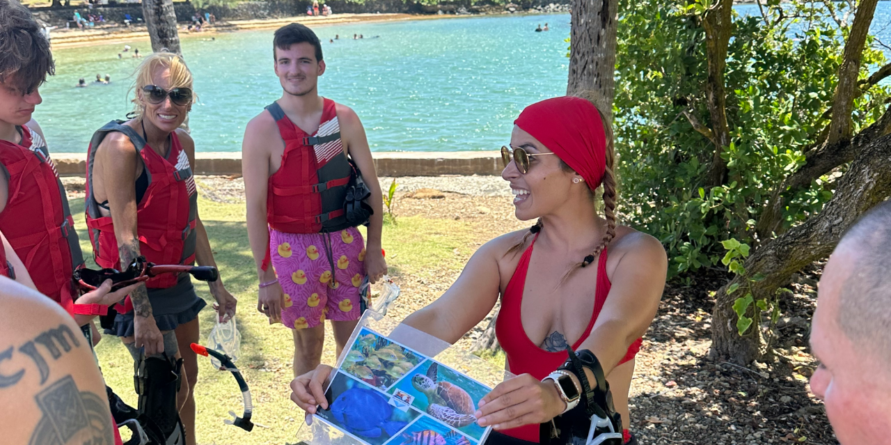 San Juan Shore Snorkeling with Turtles & Free Videos
