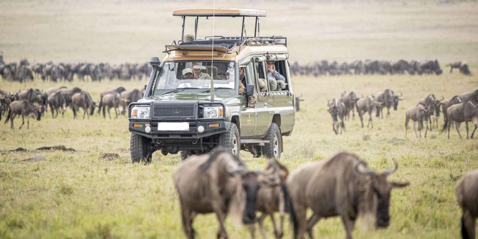 3-Day Masai Mara Safari: Luxury Sopa Lodge Experience