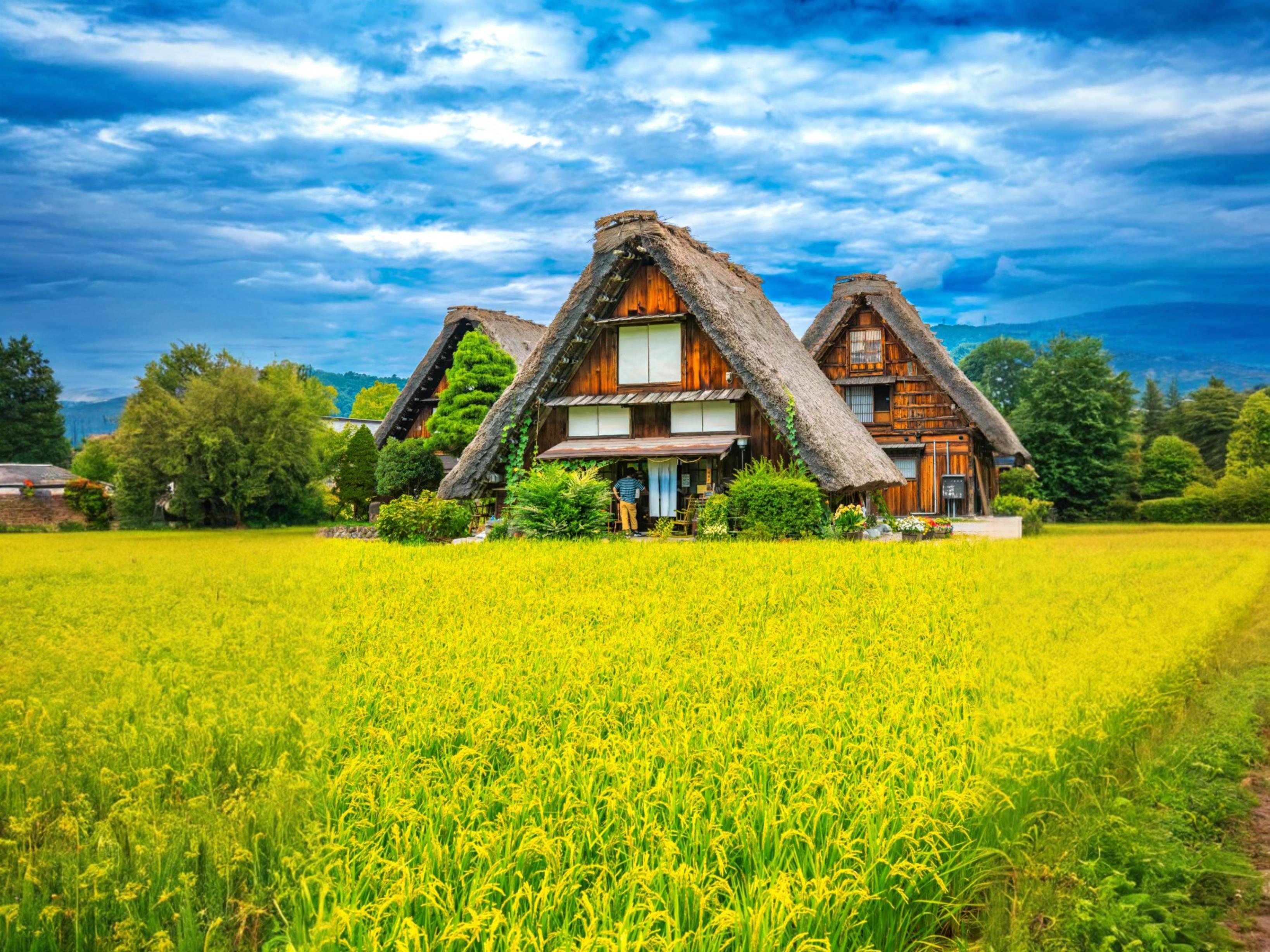 Private Nagoya & Shirakawa-go Tour with English-Speaking Driver