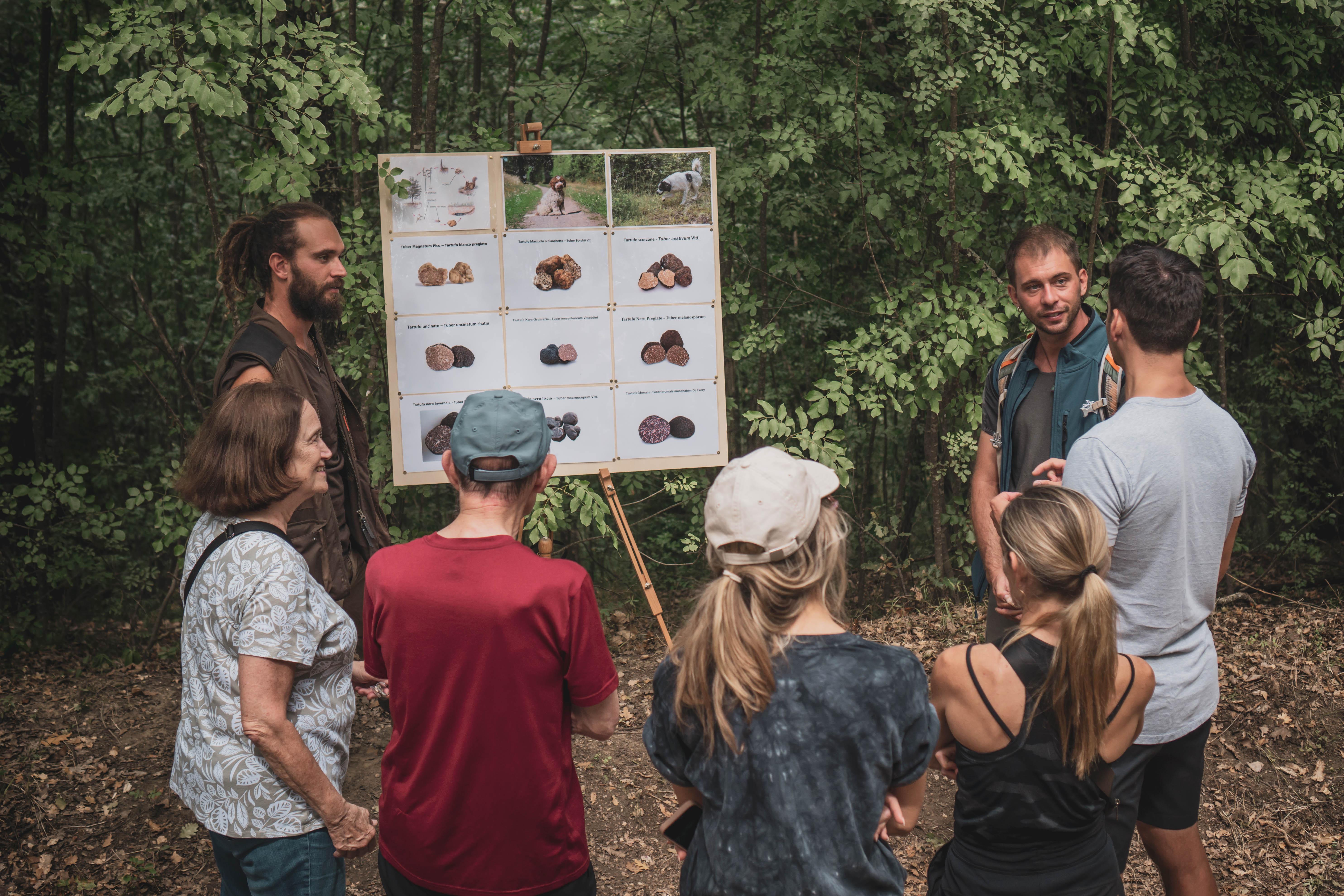 truffle hunting in Umbria — Truffle Hunting in San Gimignano