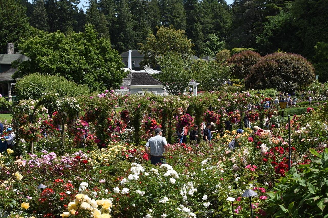 Butchart Gardens — the Sunken Garden, Rose Garden and Japanese Garden — image 9