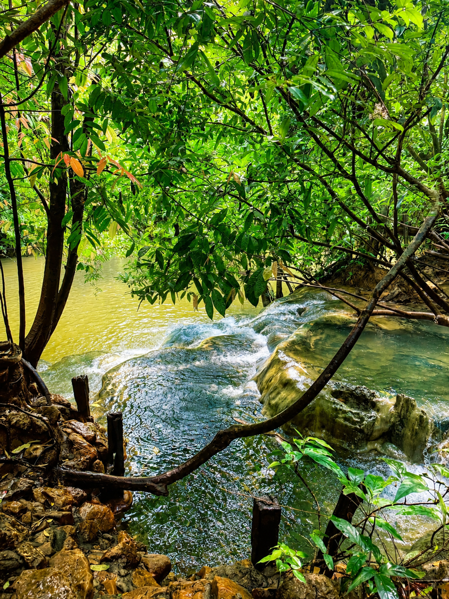 Krabi Private Jungle & Temples: Hot Springs, Emerald Pool & Tiger Cave