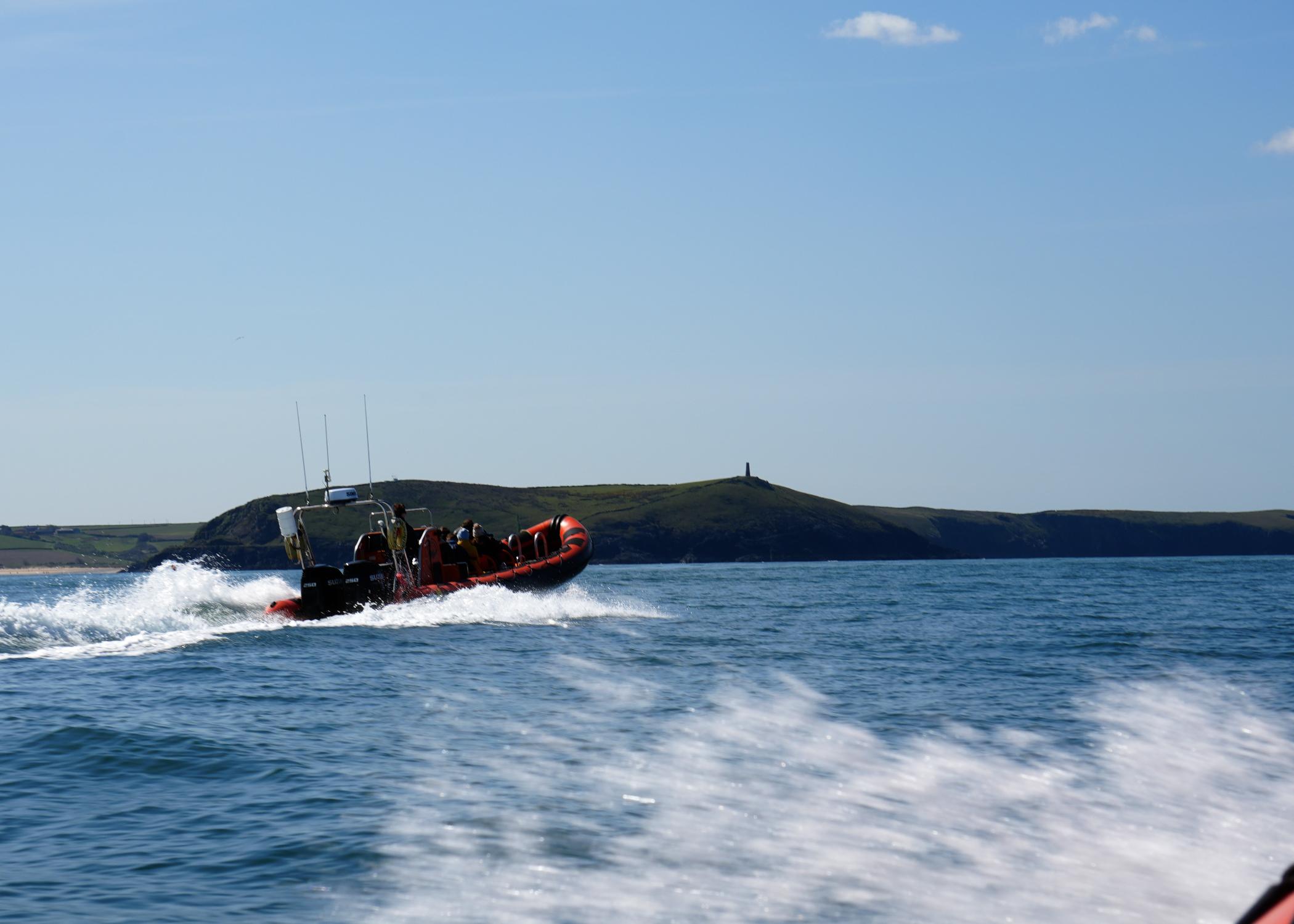 Rock Sea Safari: Guided RIB Wildlife Cruise on the Cornish Coast