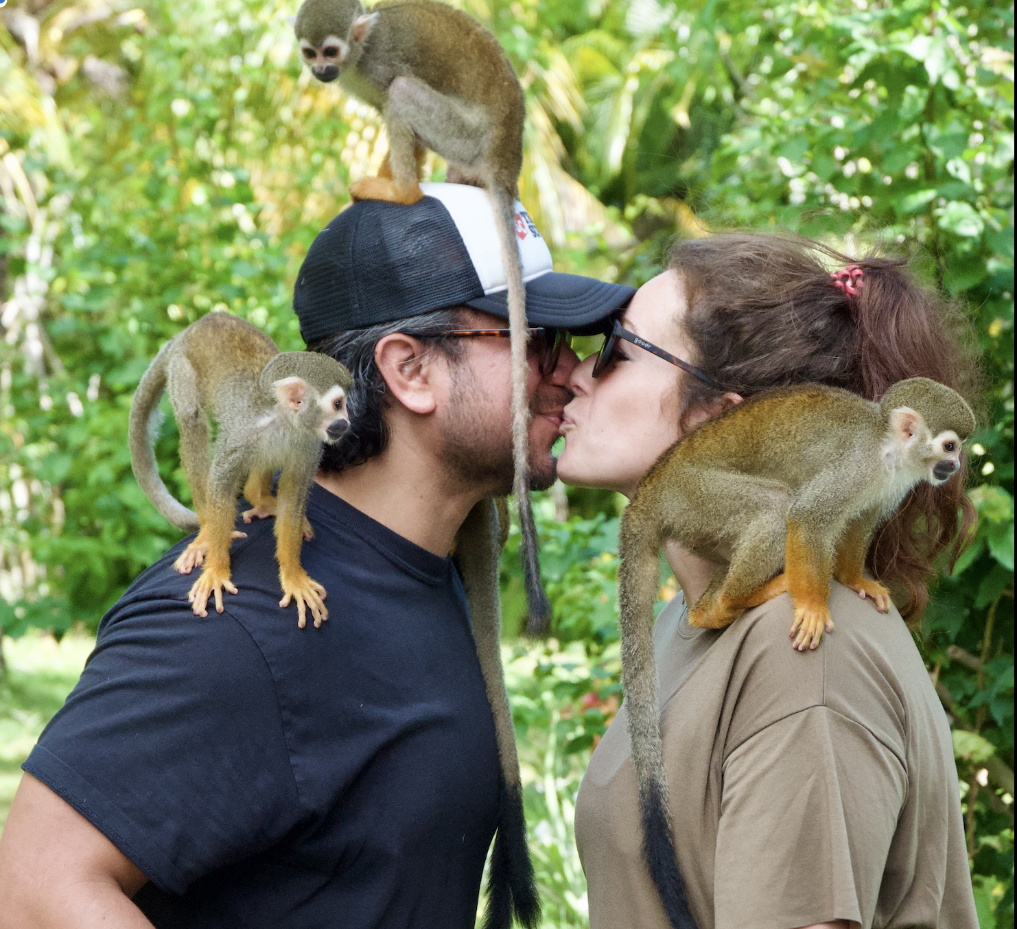 Monkey House VIP – Punta Cana Nature & Wildlife Experience