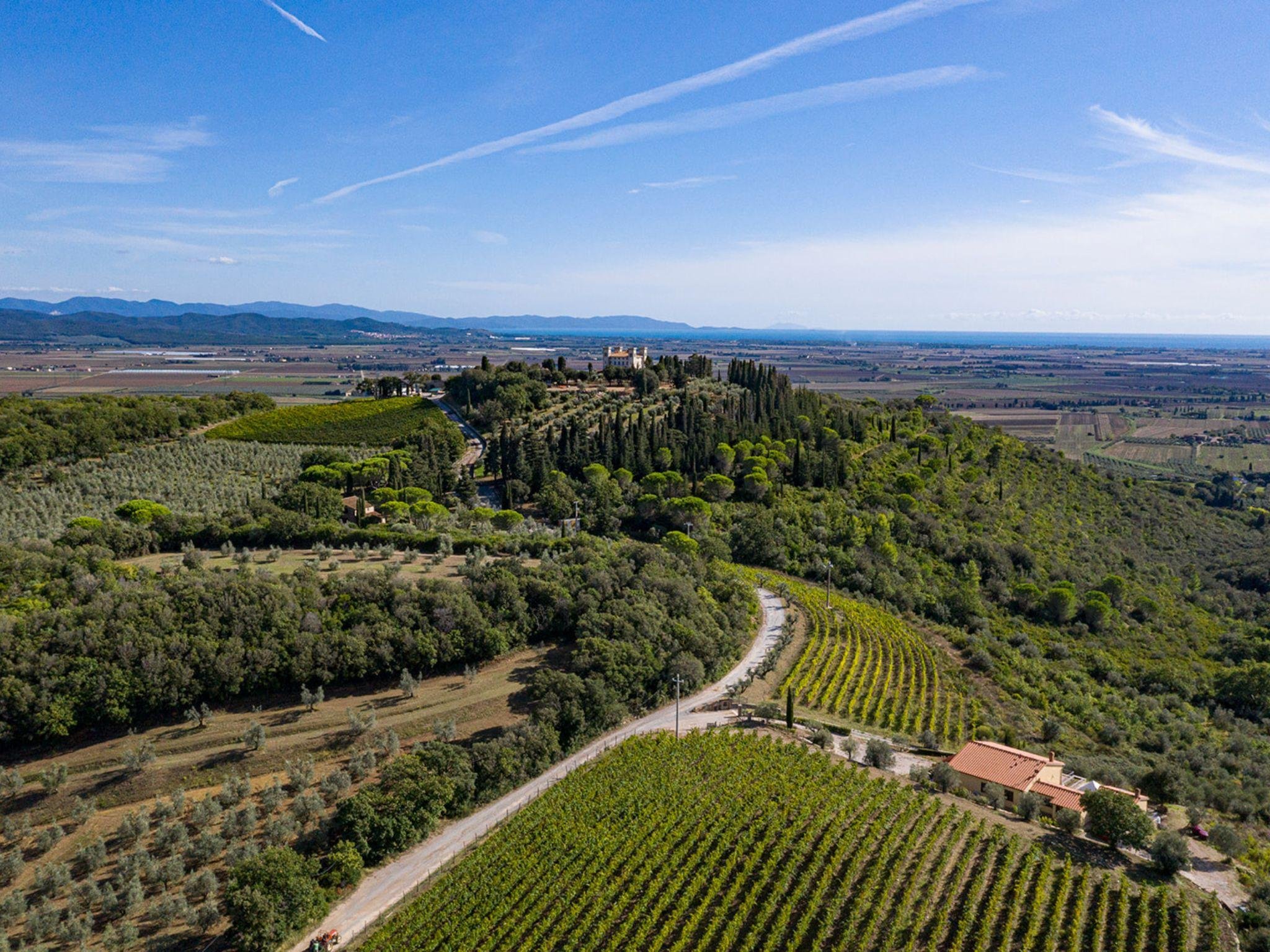Tuscan Wine & Food Pairing at Hillside Vineyard