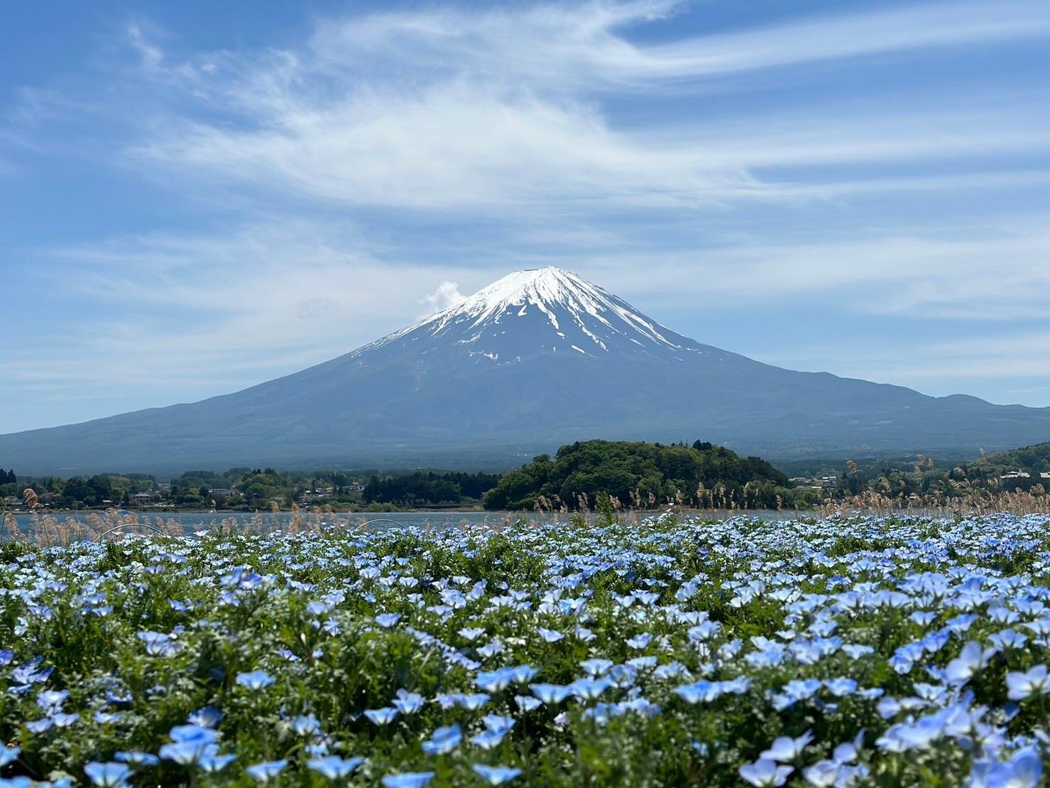 Mount Fuji Full-Day Sightseeing Tour from Tokyo