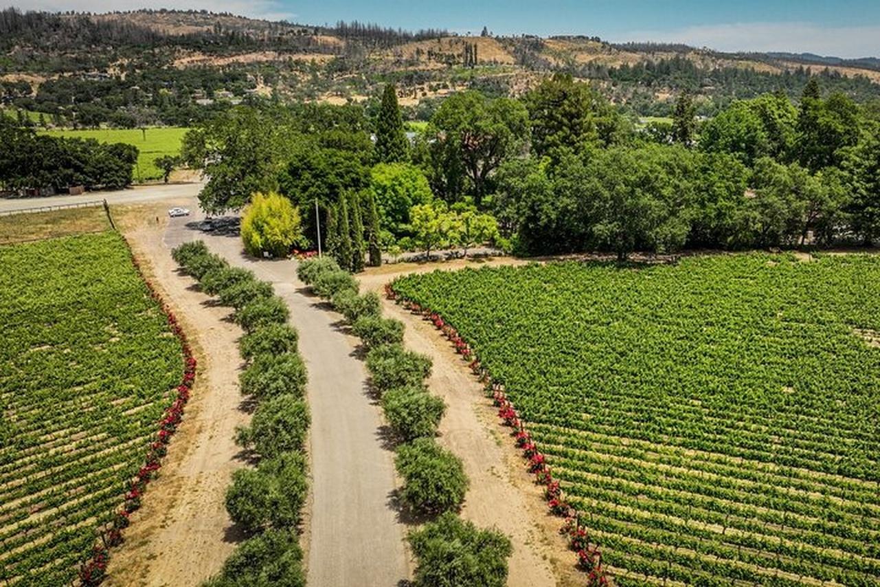 Napa Valley Scenic E-Bike Tour