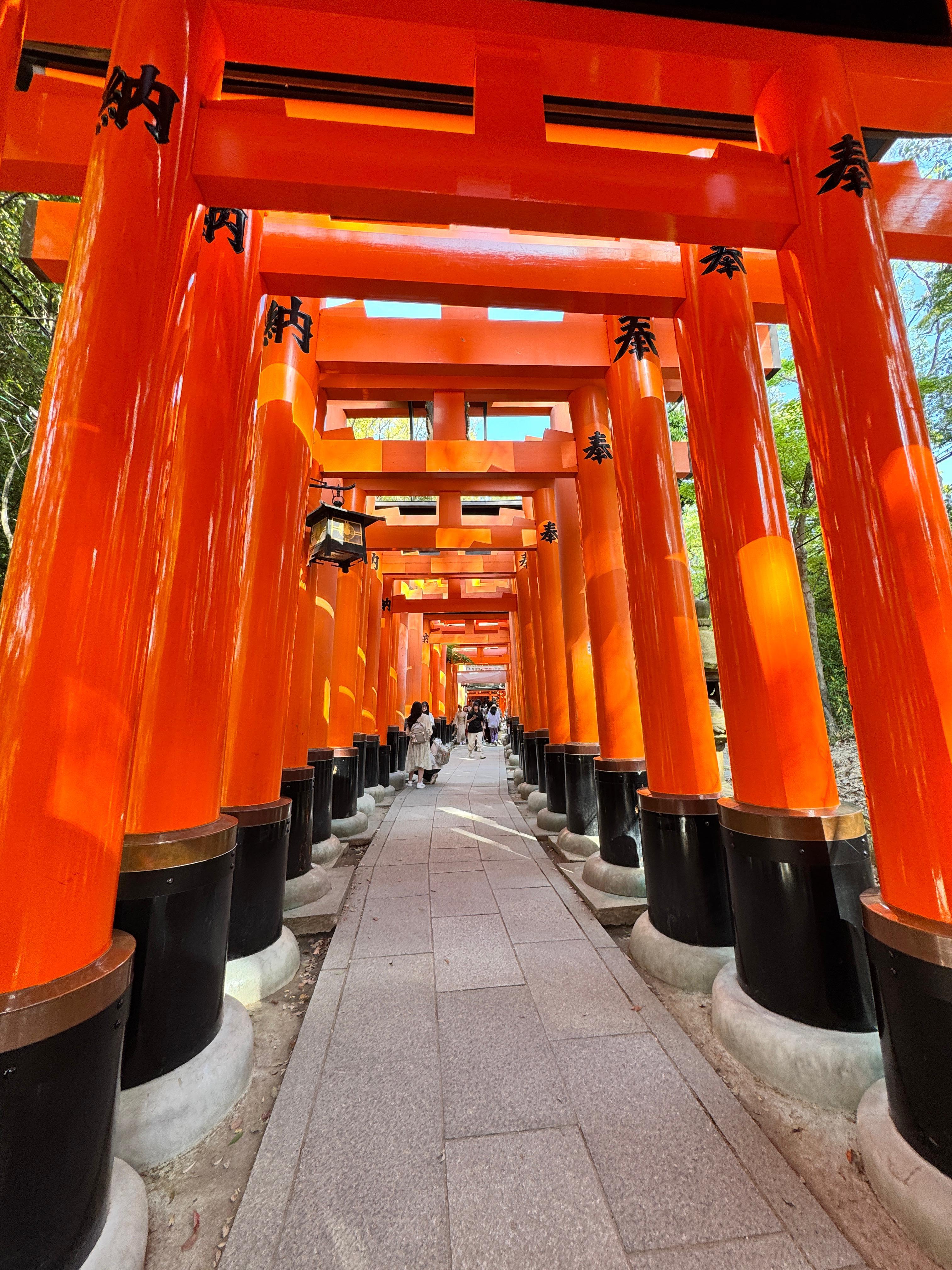 Kyoto og Nara: Tilpassbar privat dagstur fra Osaka eller Kyoto