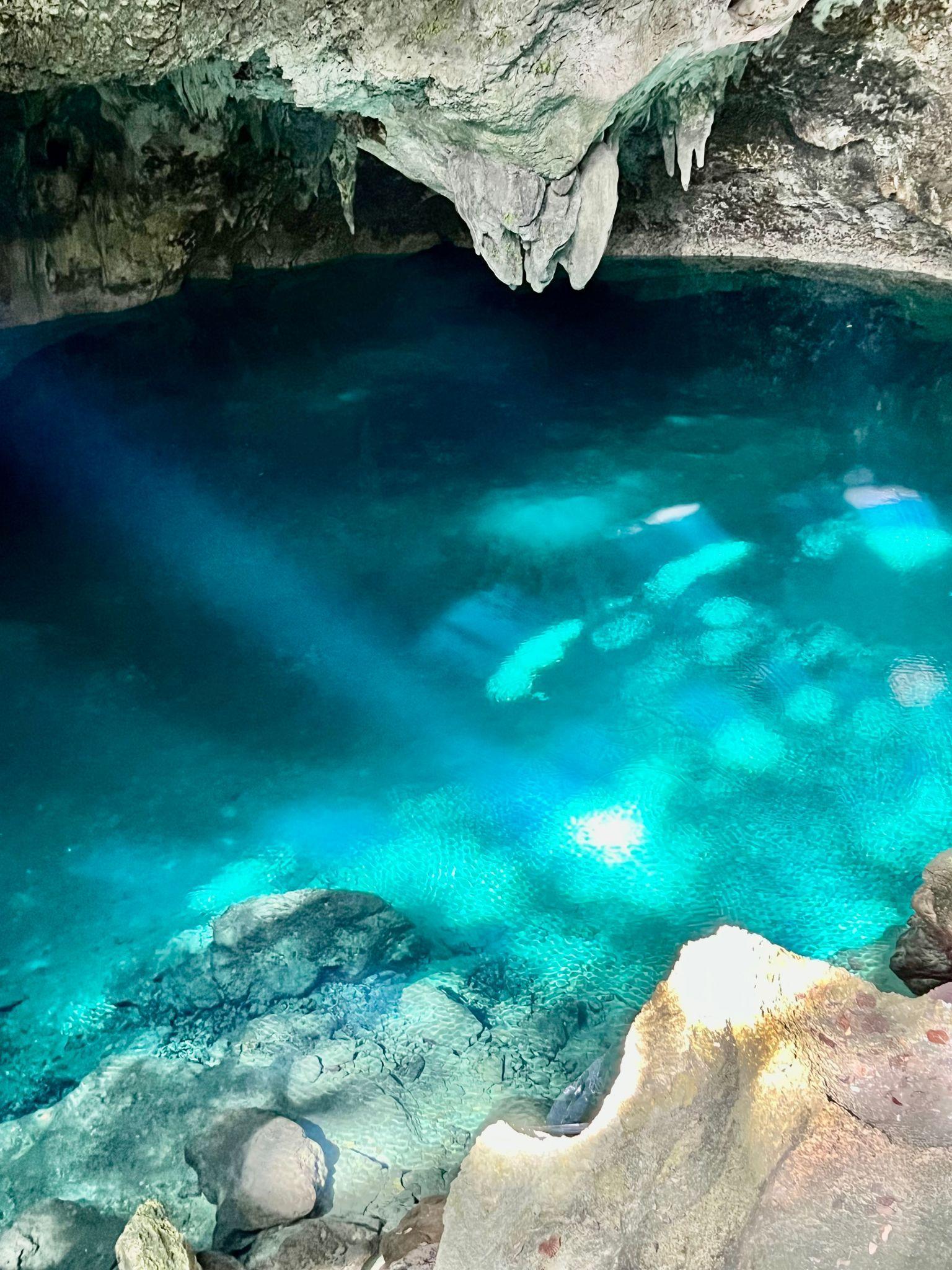 Santo Domingo Full-Day Cultural Expedition from Miches