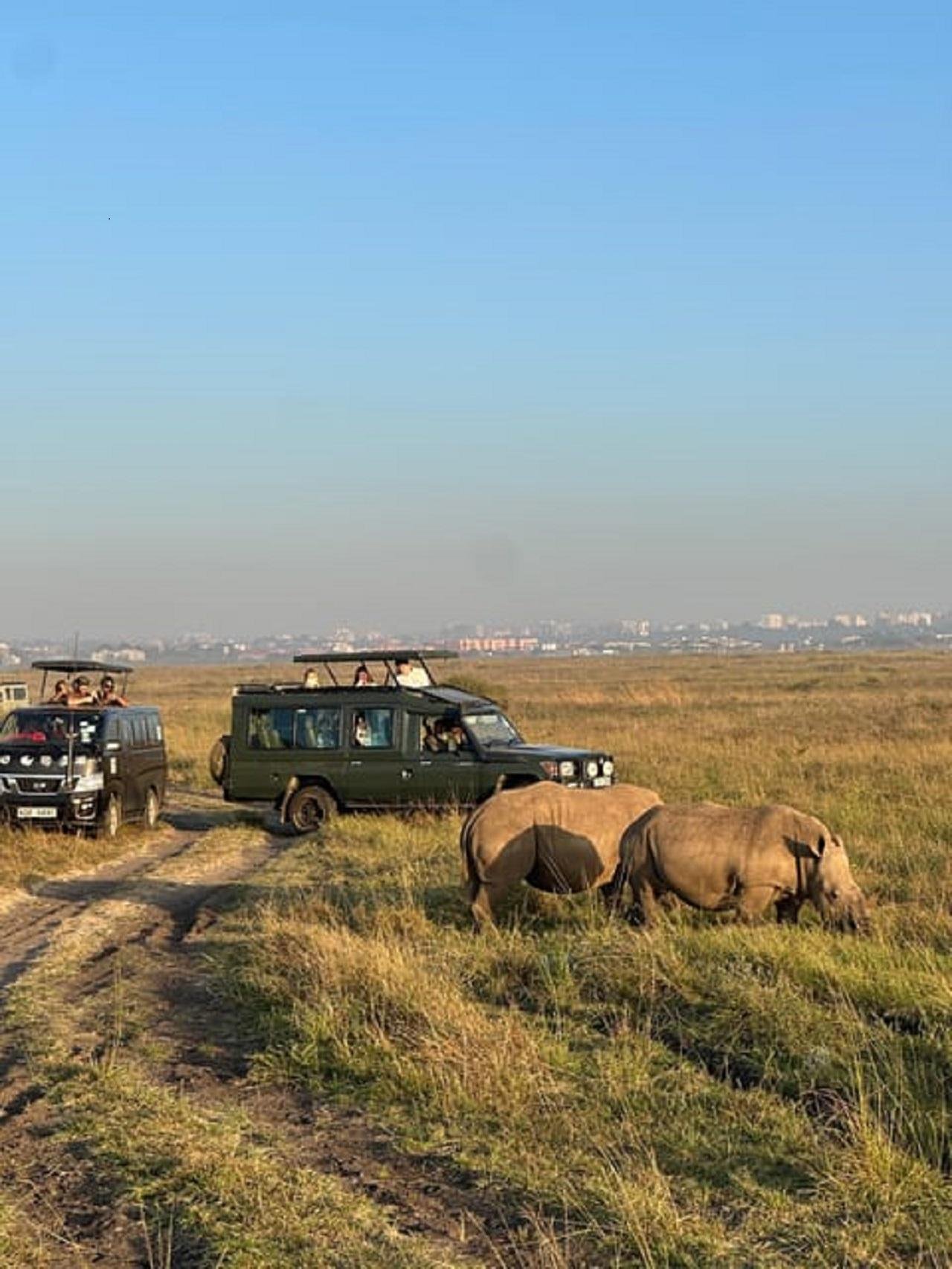 Nairobi Wildlife & History Day Tour