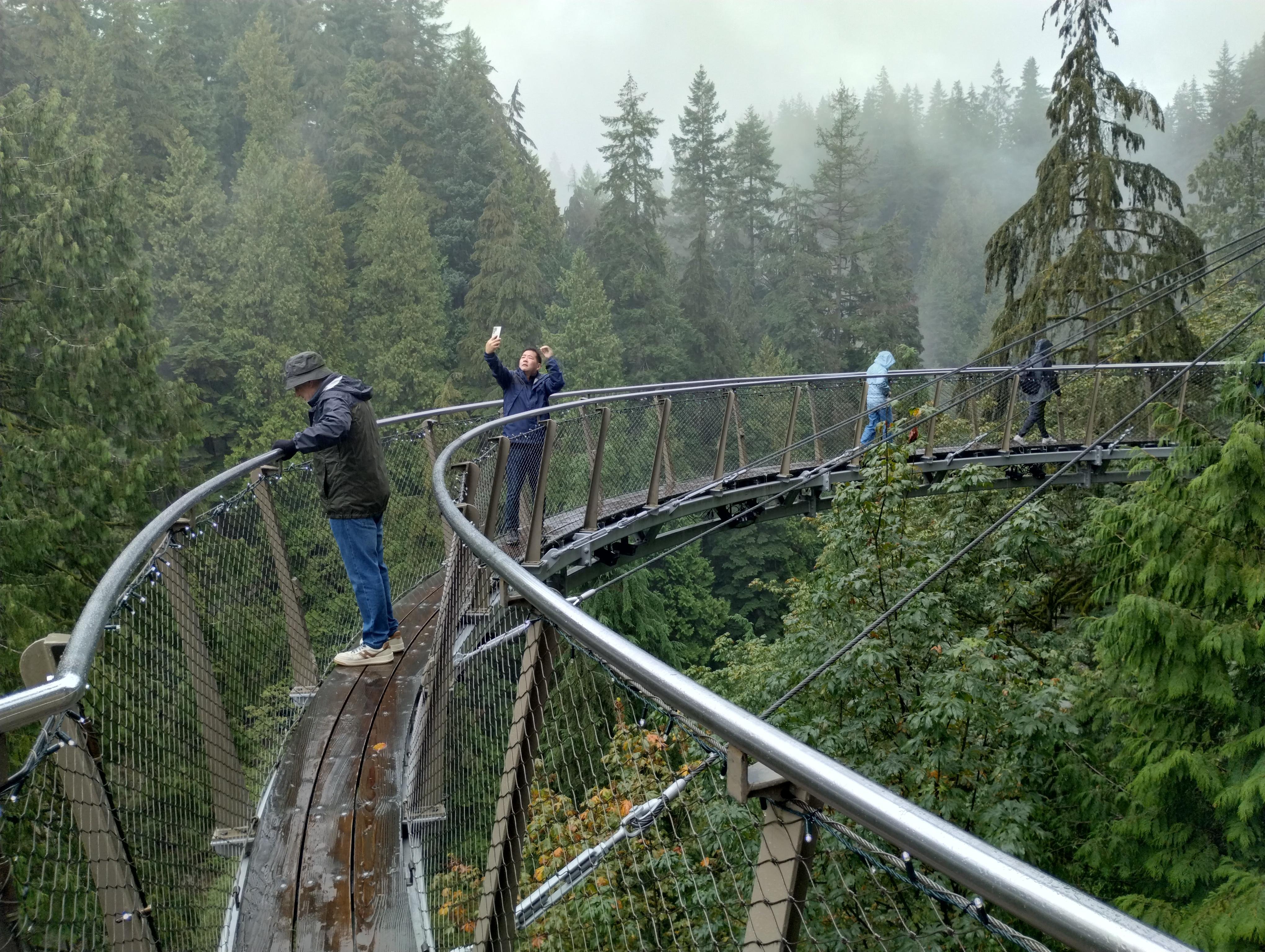 Capilano Suspension Bridge & Stanley Park Small Group Tour