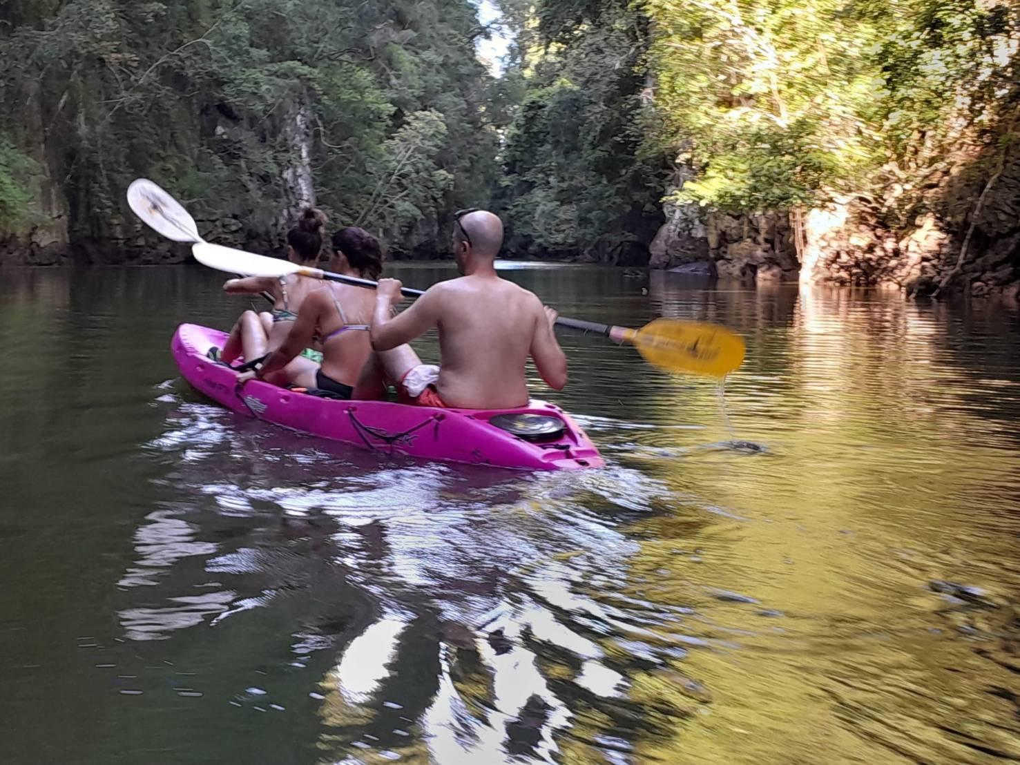Krabi Ao Thalane Half-Day Mangrove Kayak Tour