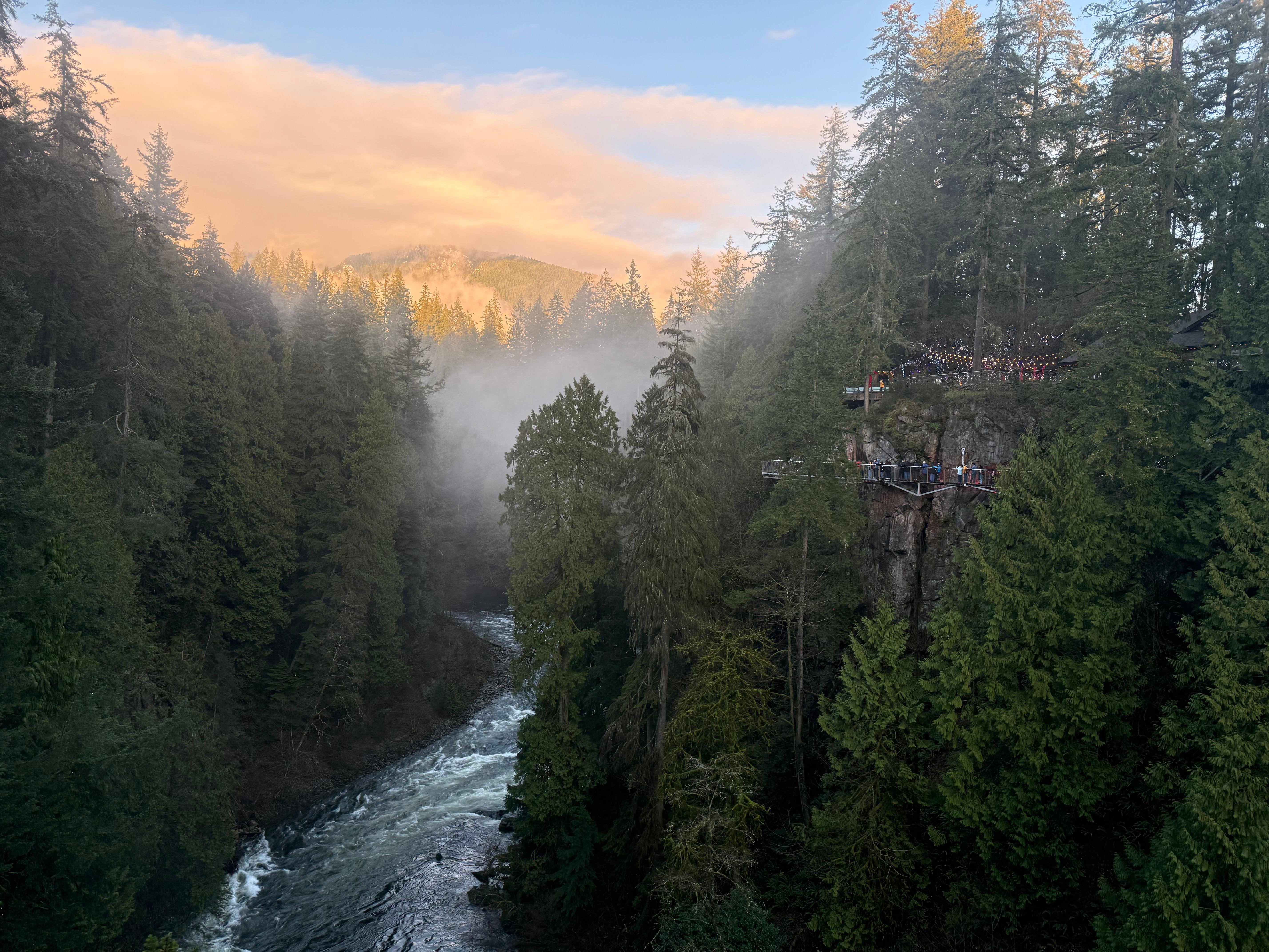 Capilano Suspension Bridge & Stanley Park Small Group Tour