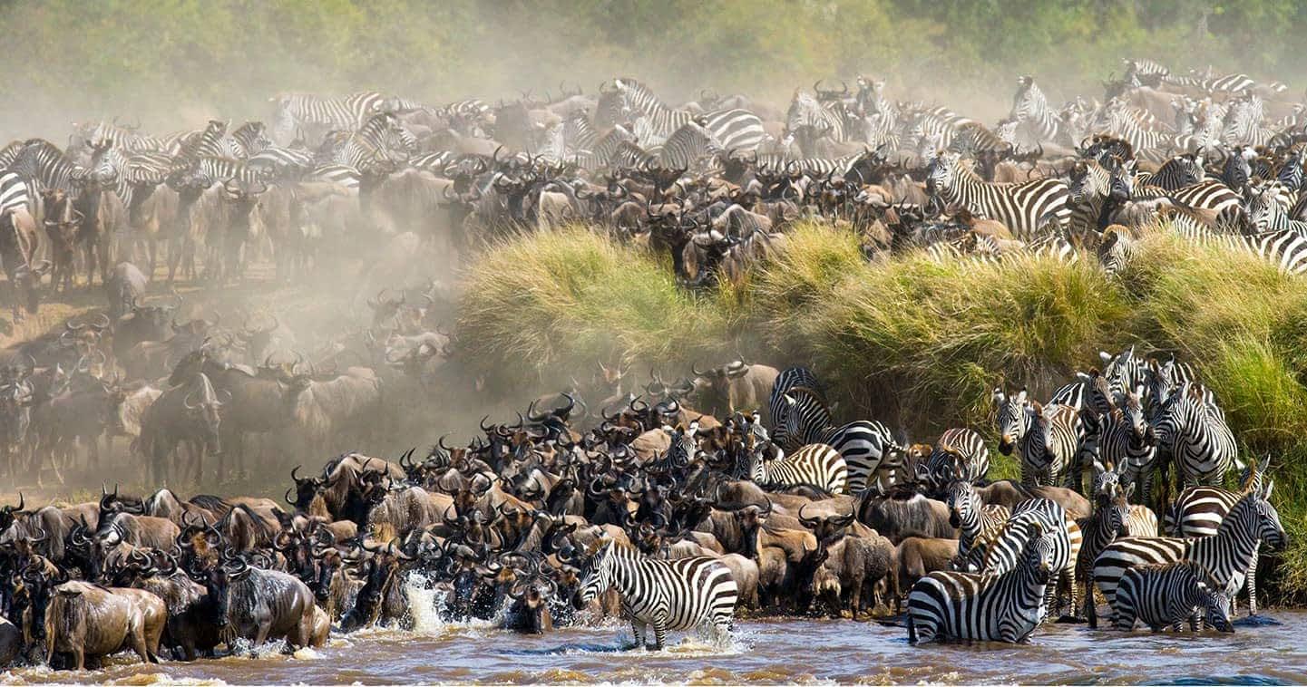 3-Day Masai Mara Safari: Luxury Sopa Lodge Experience