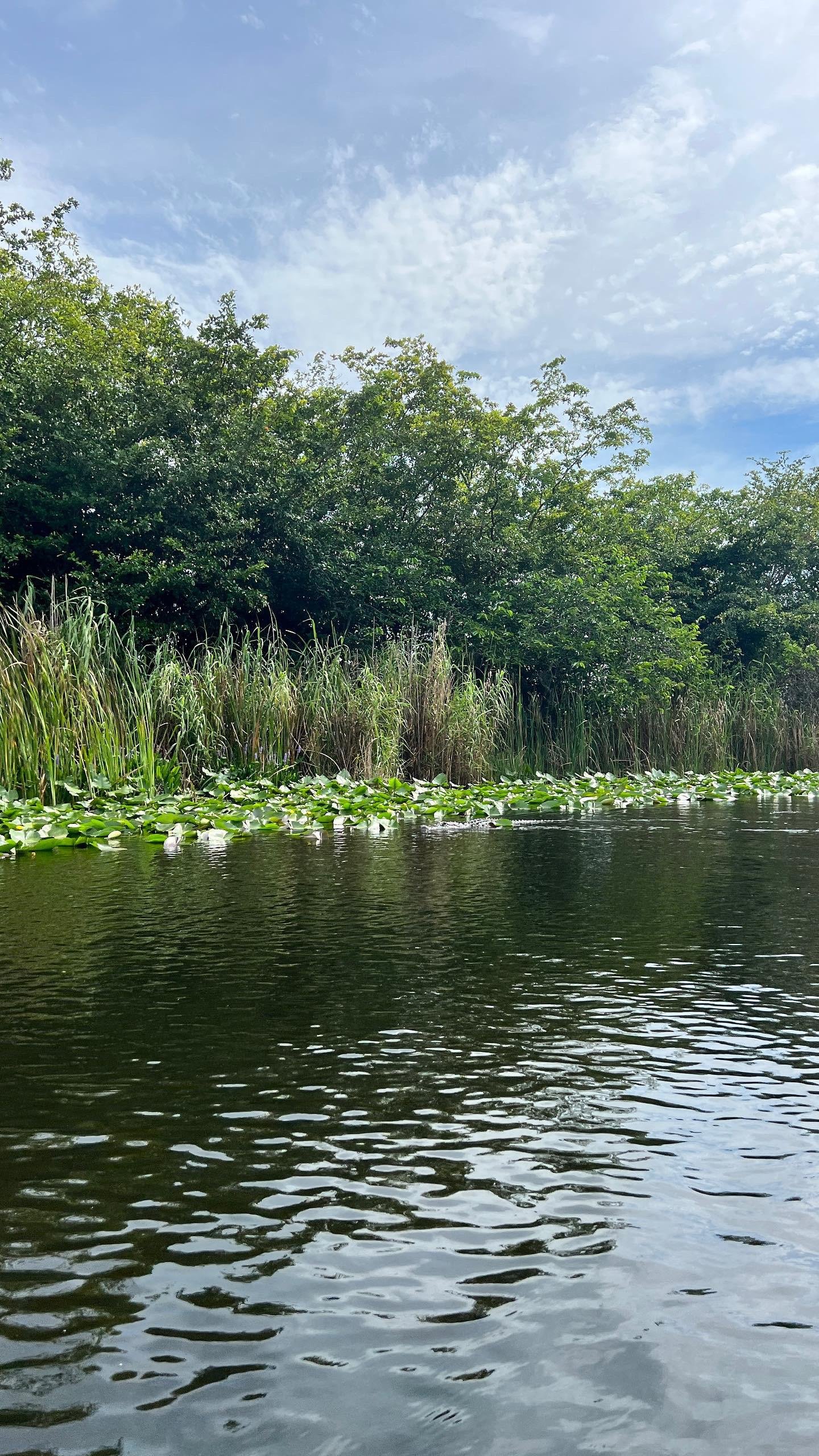 Everglades Small Group on Airboat with Transportation