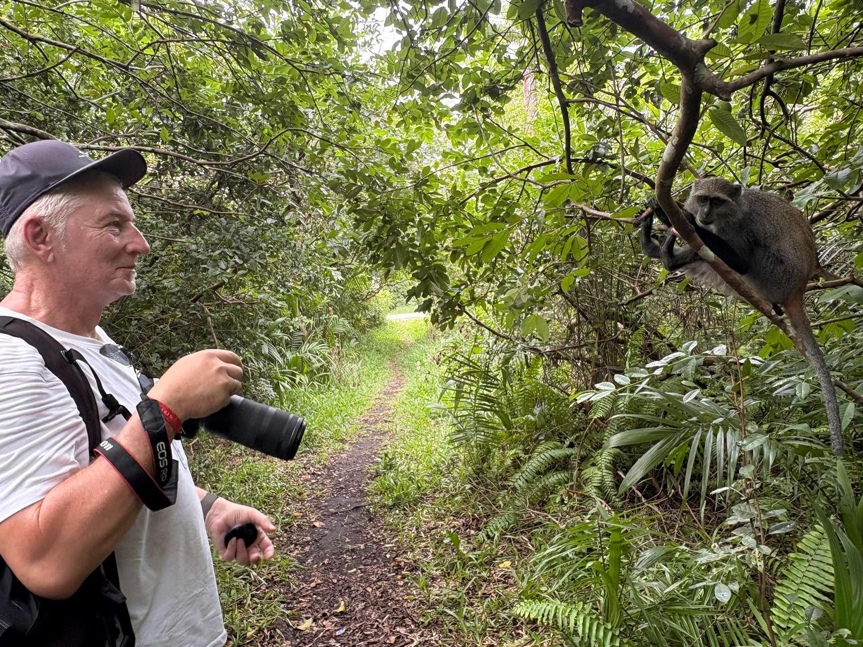 Zanzibar: Jozani Forest, Butterfly Centre & Rock Restaurant Day Tour